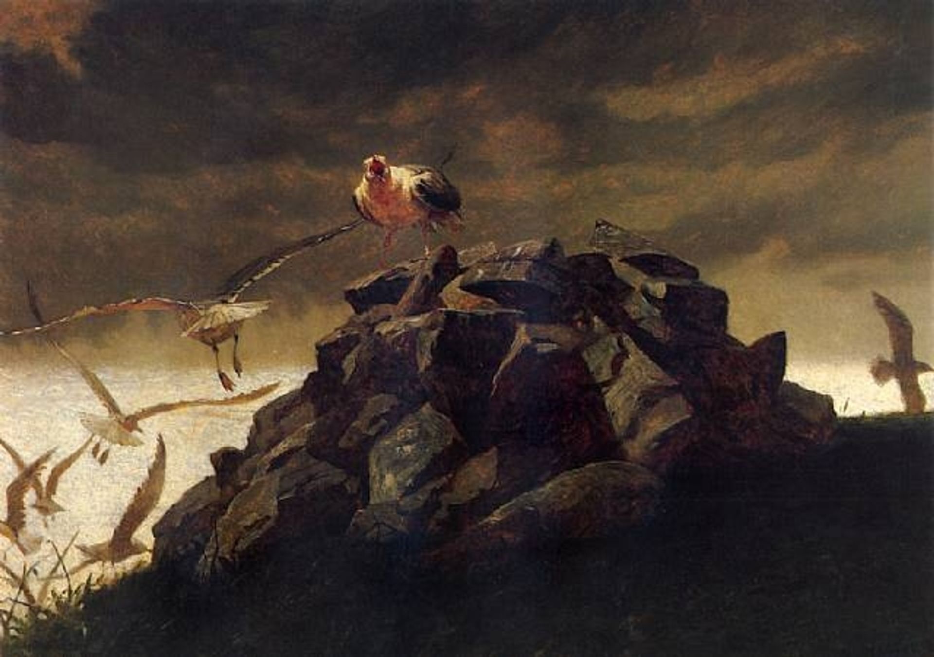 The Rookery by Jamie Wyeth