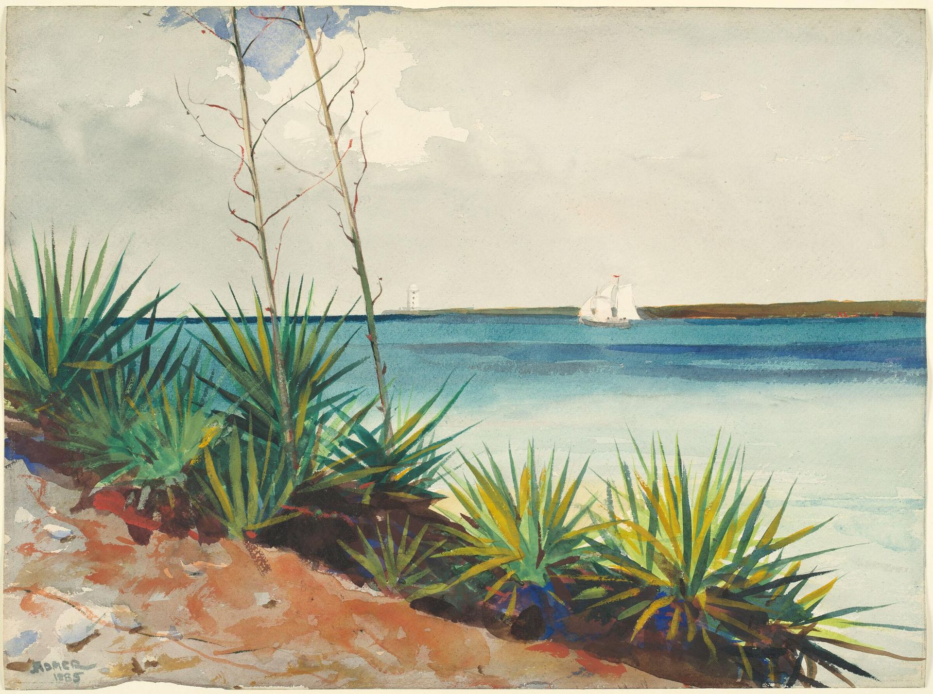 Spanish Bayonets by Winslow Homer