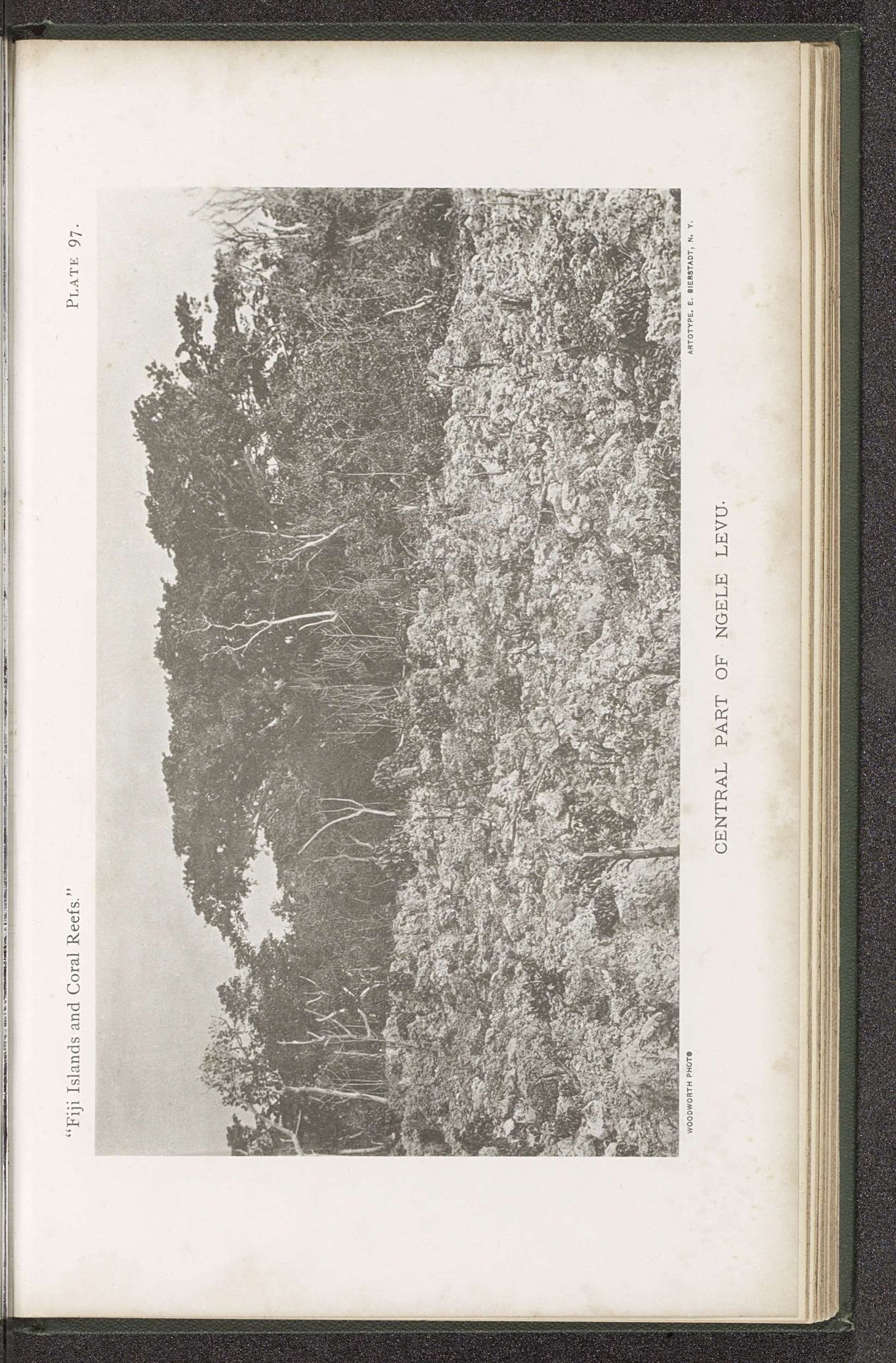 Gezicht op bomen en rotsen op Ngele Levu by W. McM. Woodworth