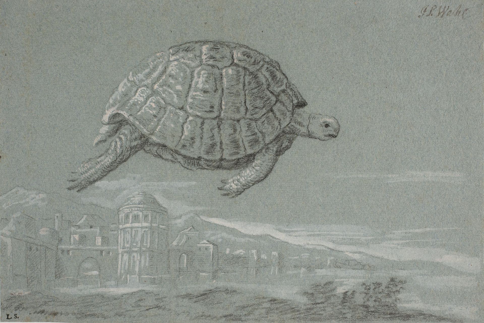 Studie af en skildpadde, og prospekt af en befæstet by ved havet (Venedig) by Johann Salomon Wahl