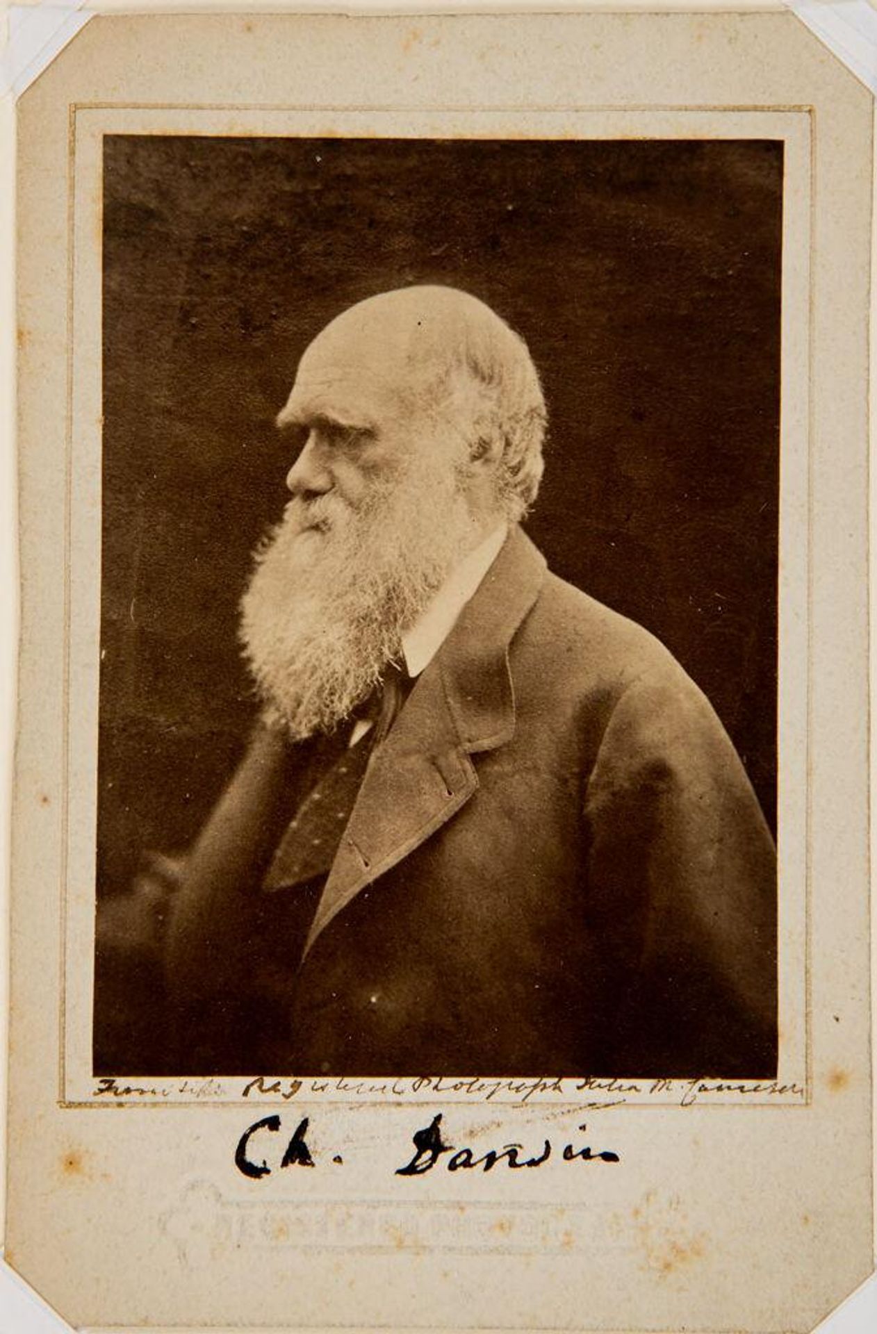 Charles Robert Darwin (1809-1882) by Julia Margaret Cameron