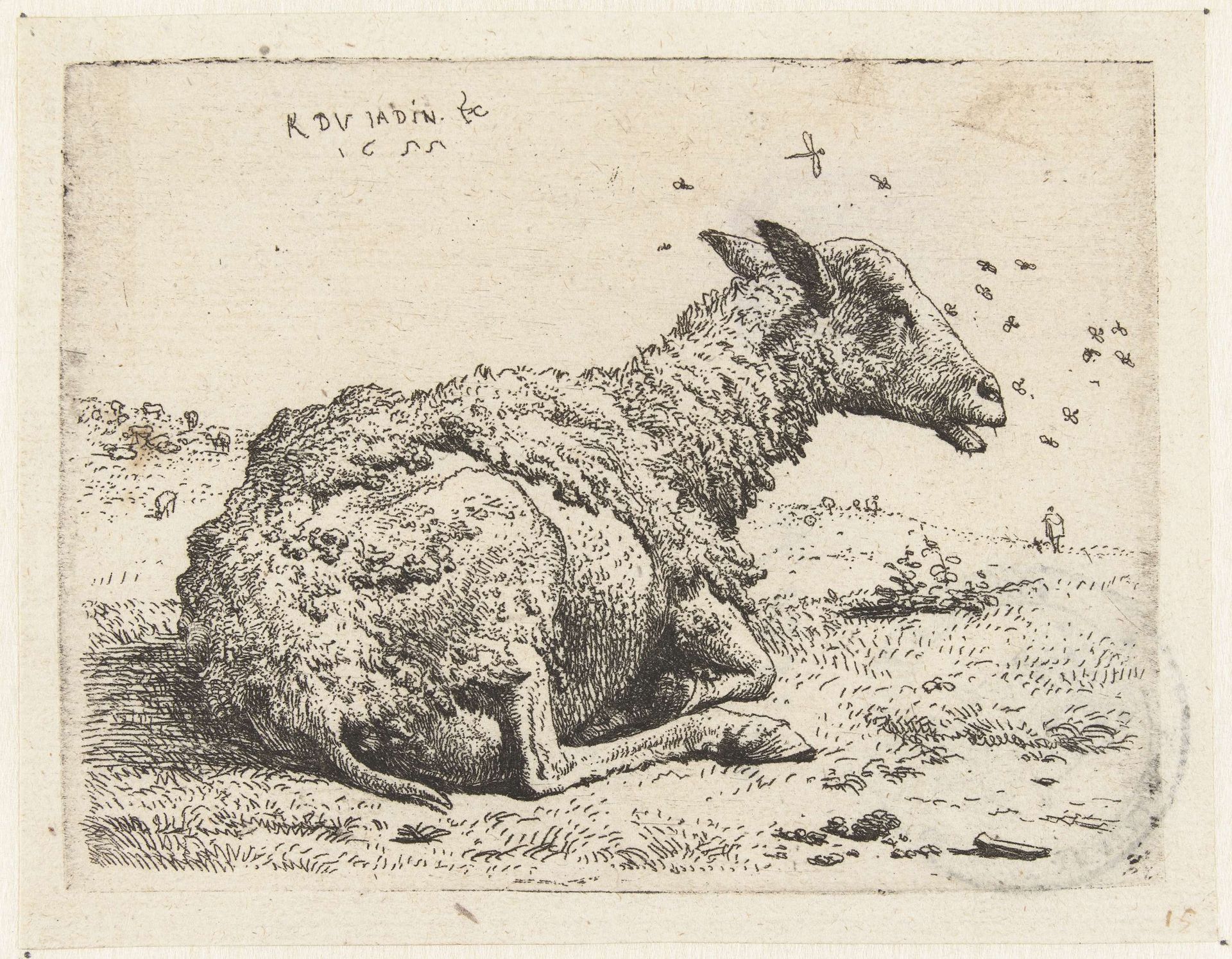 Liggend schaap met vliegen by Karel du Jardin
