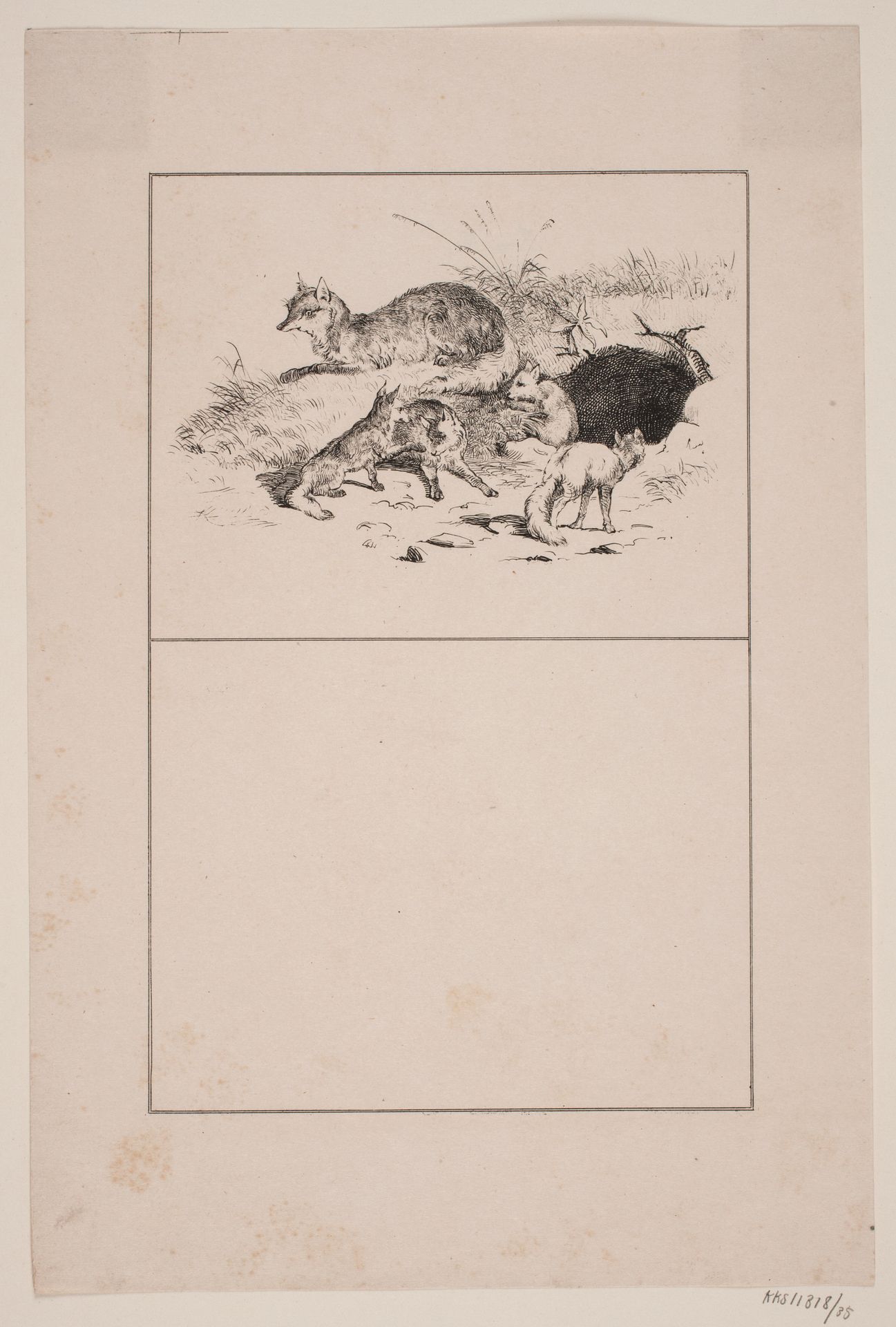 Ræven by Adolph Kittendorff