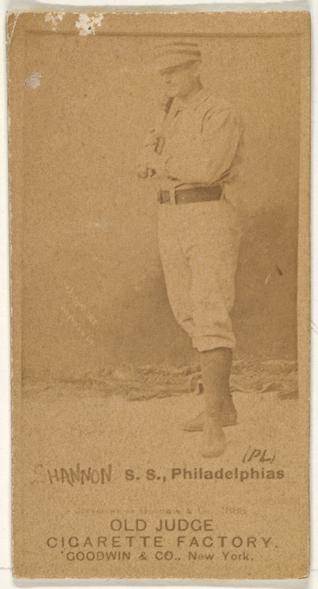 Daniel Webster "Dan" Shannon, Shortstop, Philadelphia, from the Old Judge series (N172) for Old Judge Cigarettes by Goodwin & Company