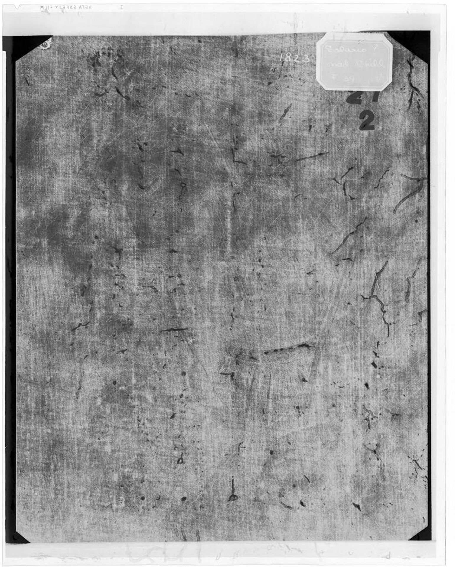 X-radiograph(s) of "Madonna and Child" by Artist of original: (?) Andrea Solario