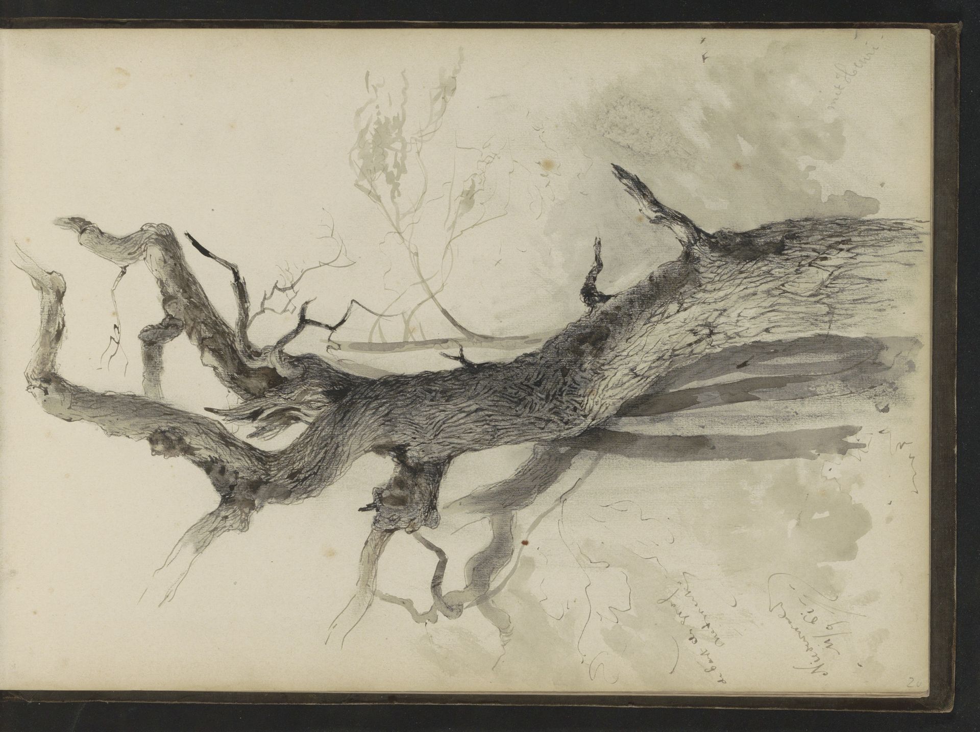 Eikenboom in Niederwald by Johannes Tavenraat