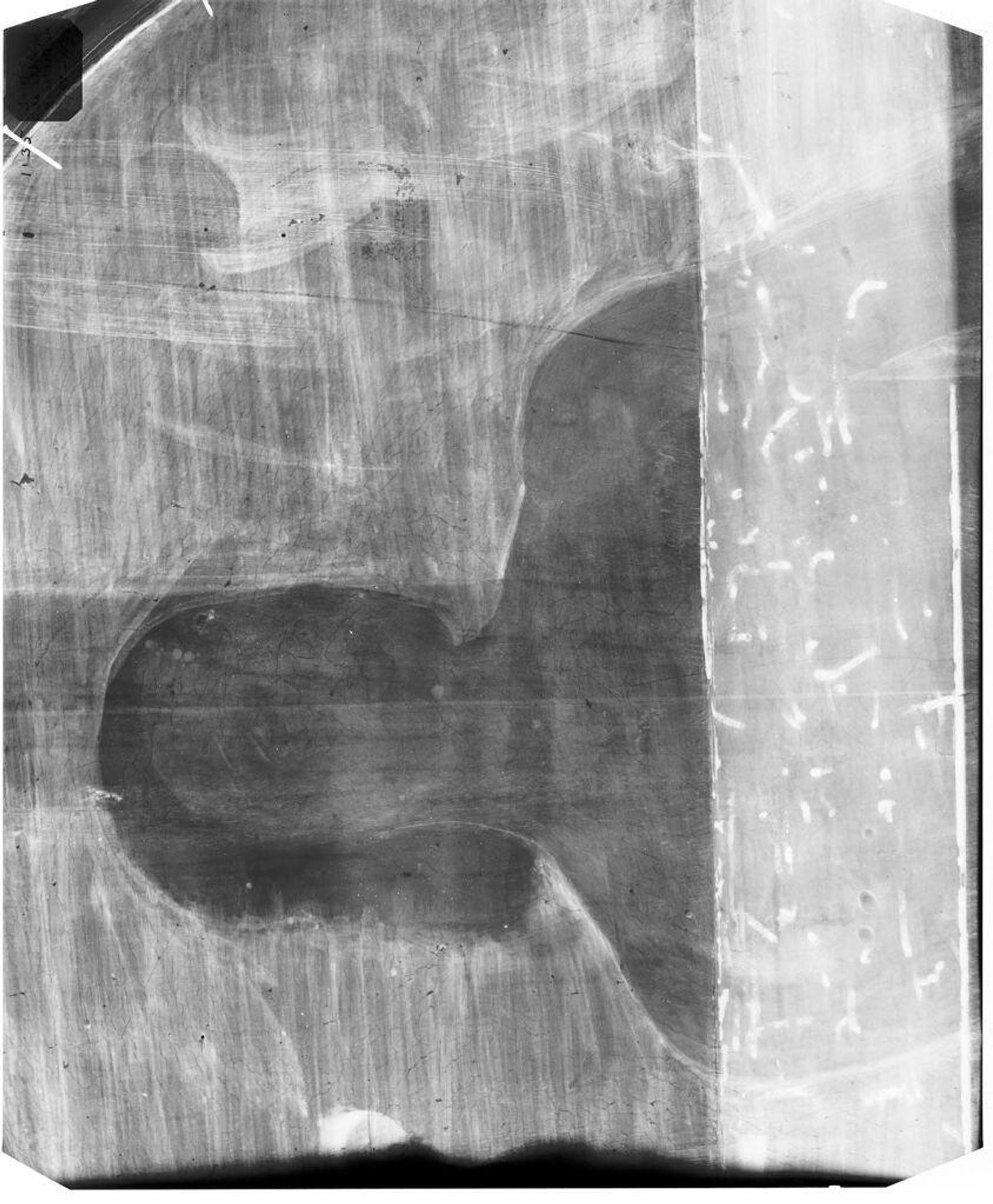 X-radiograph(s) of "St. Sebastian" by Artist of original: Jacopo del Sellaio