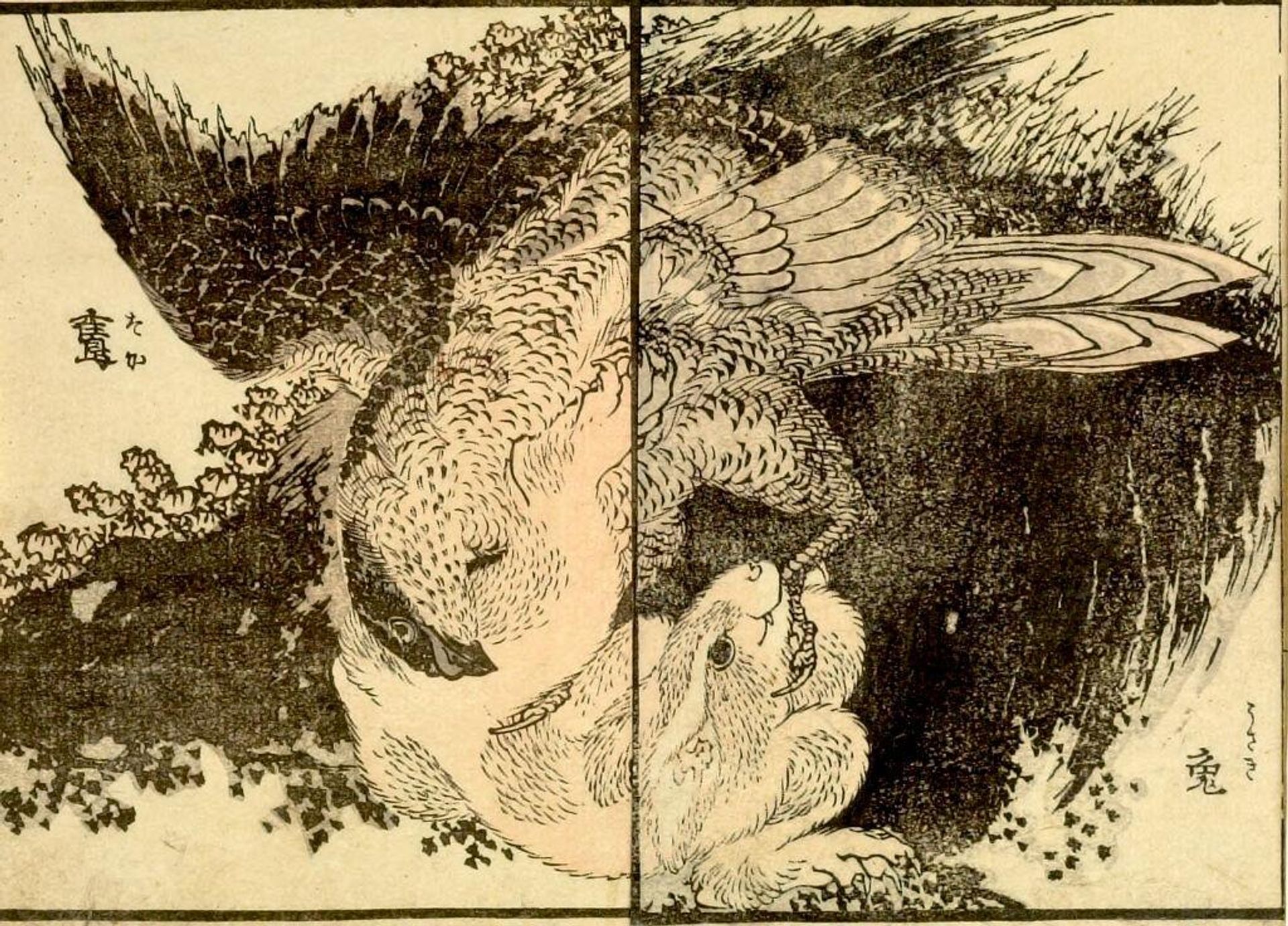from the illustrated book "KachÅ gaden" by Katsushika Taito II äºä»£èé£¾æ´æ