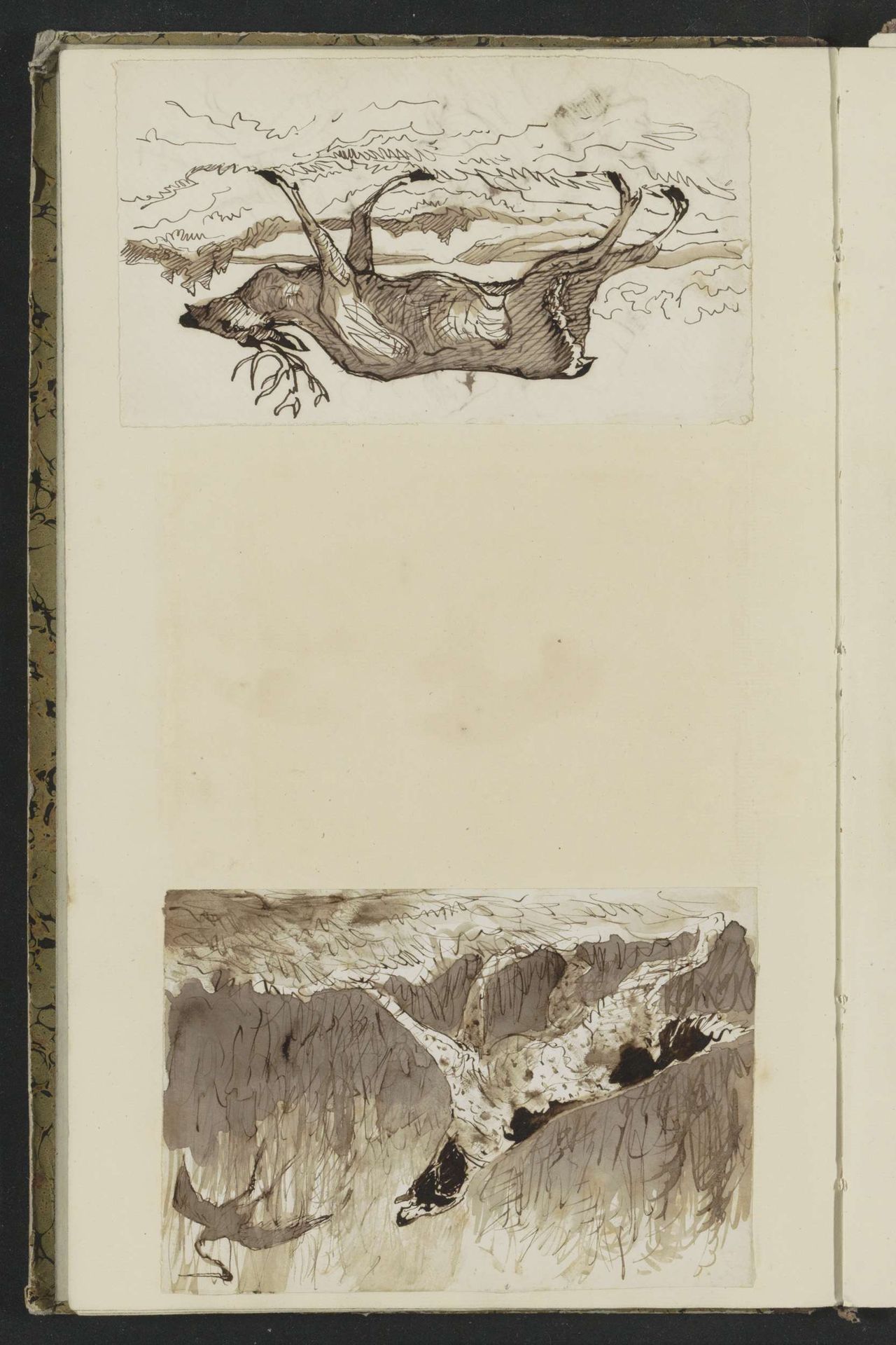 Hond die een ooievaar achterna zit en een hert by Johannes Antonius Canta