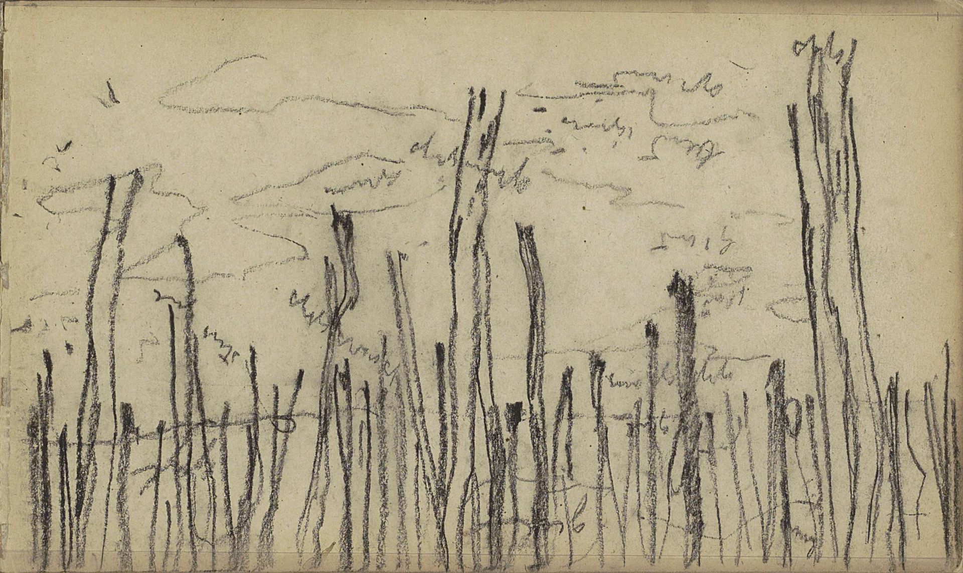 Bosgezicht by Willem Witsen