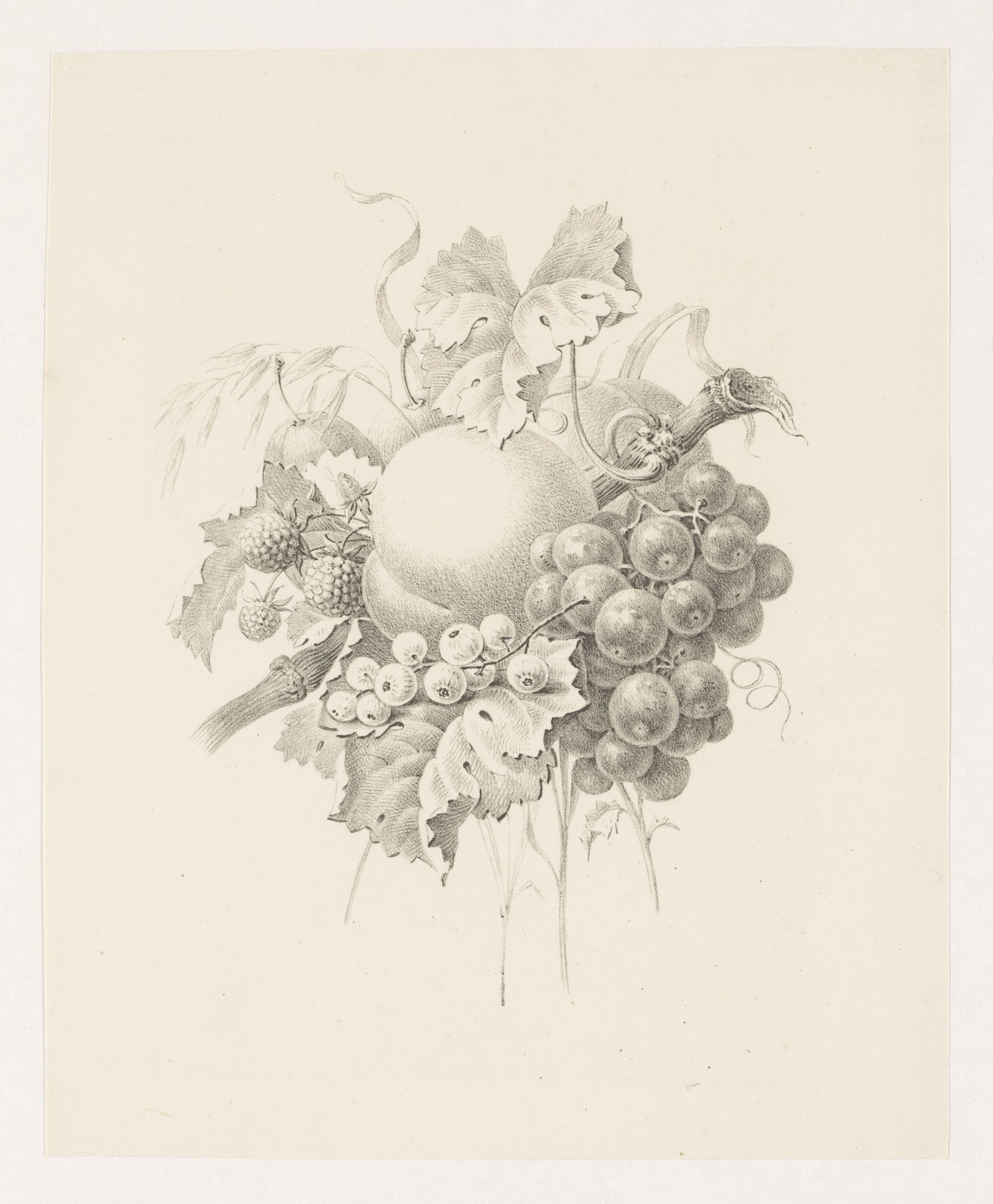 Compositie van vruchten by Maria Geertruida de Goeje-Barbiers