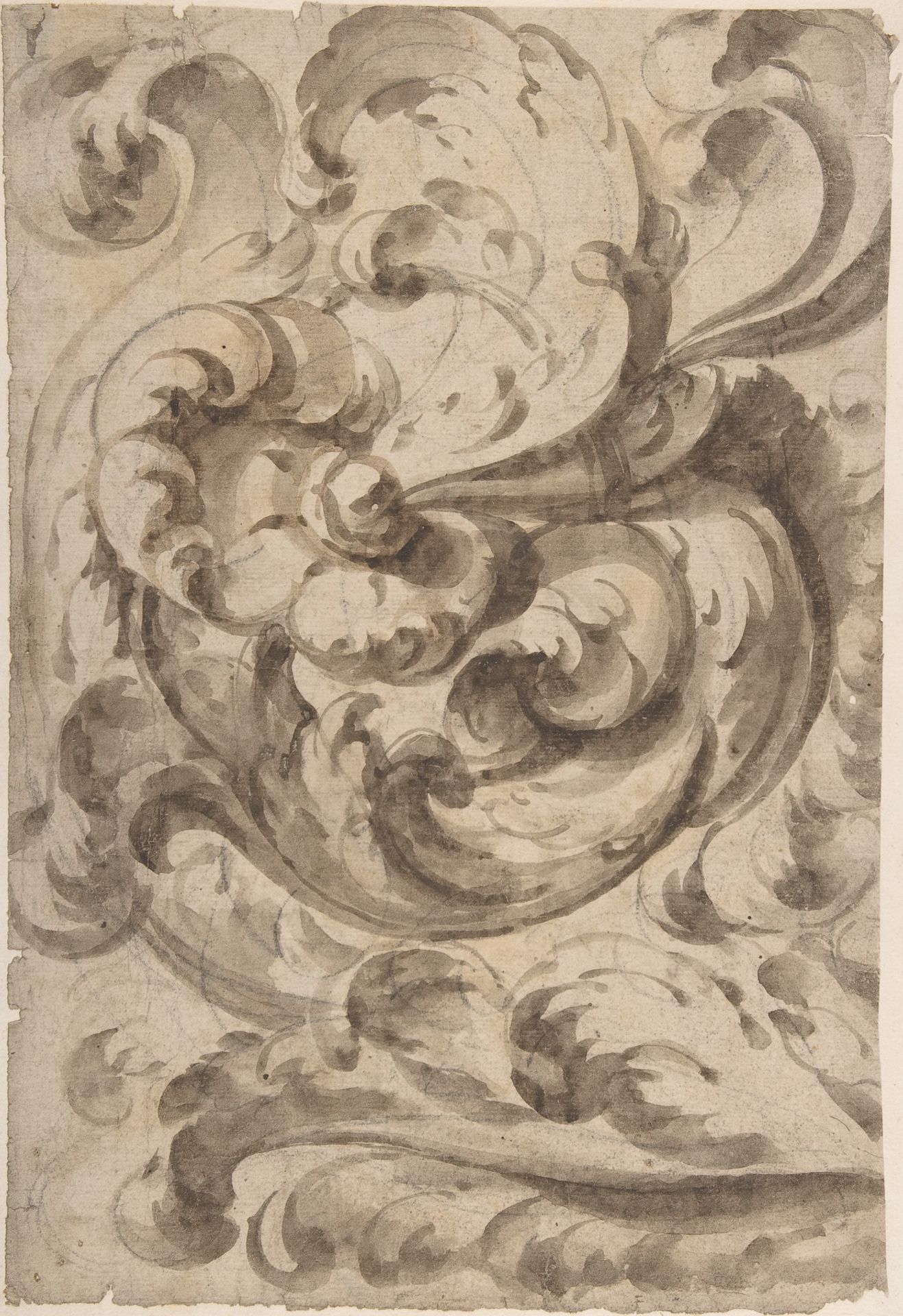 Acanthus Scroll by Anonymous