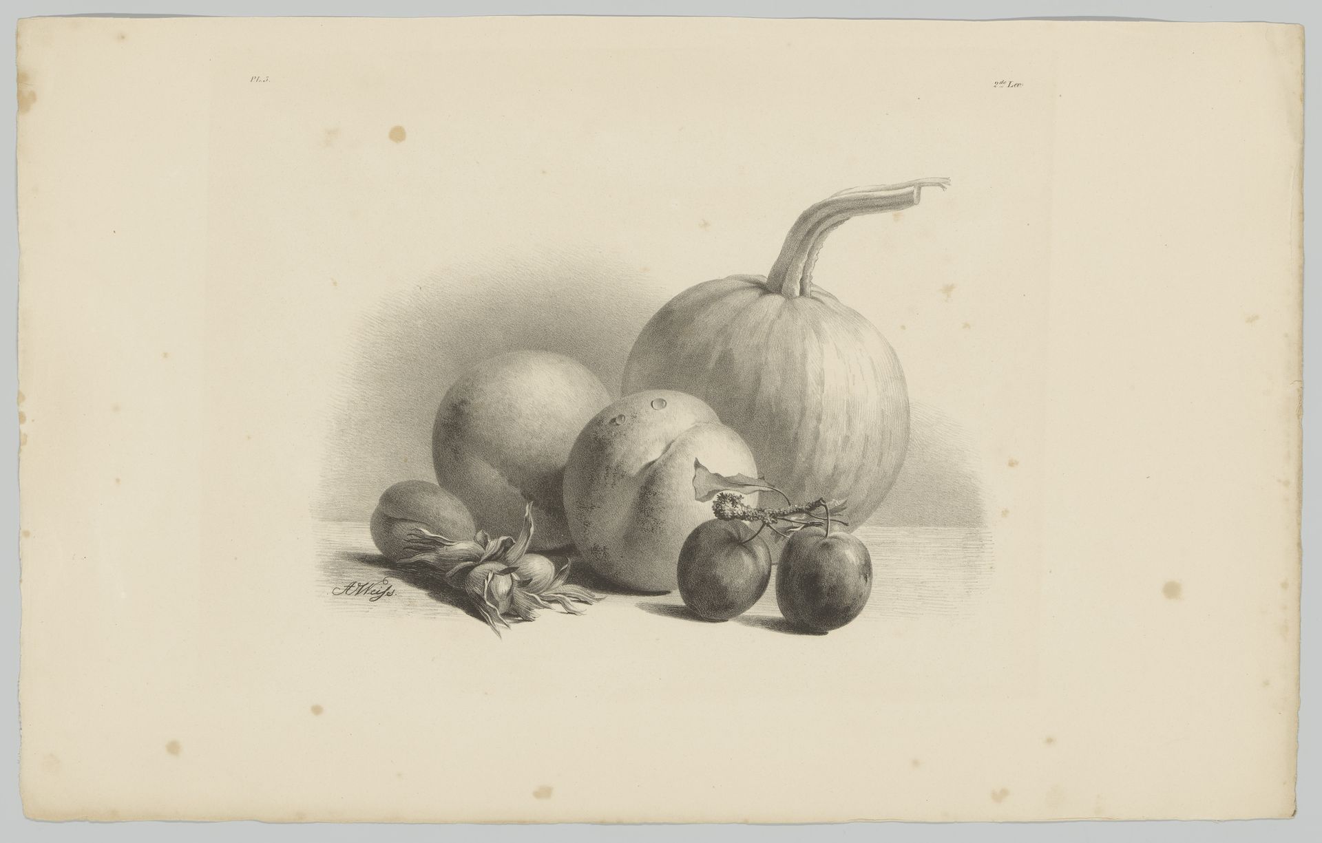 Pompoen, perziken, abrikoos, pruimen en hazelnoten by Anton Weiss