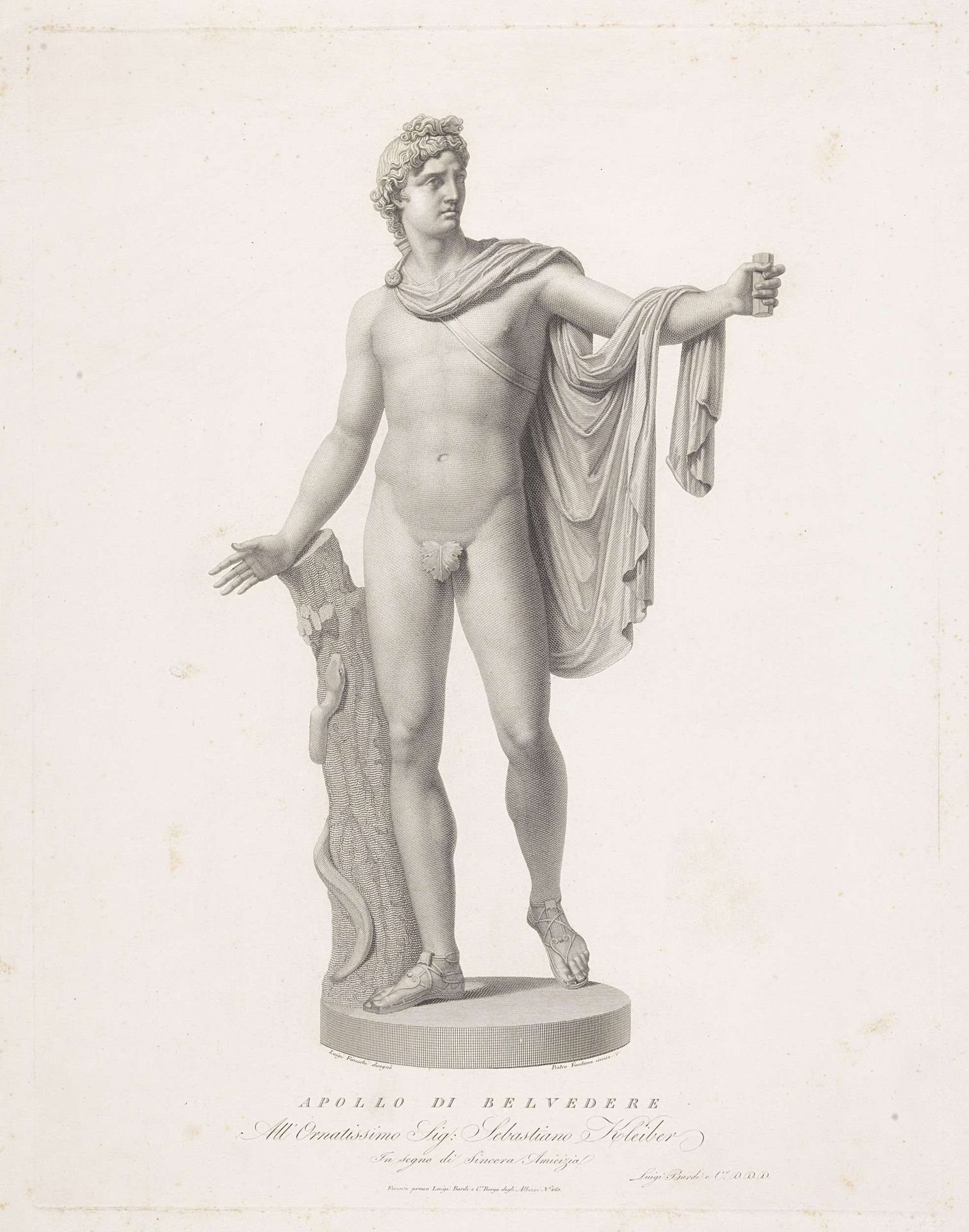 Apollo Belvedere by Pietro Fontana