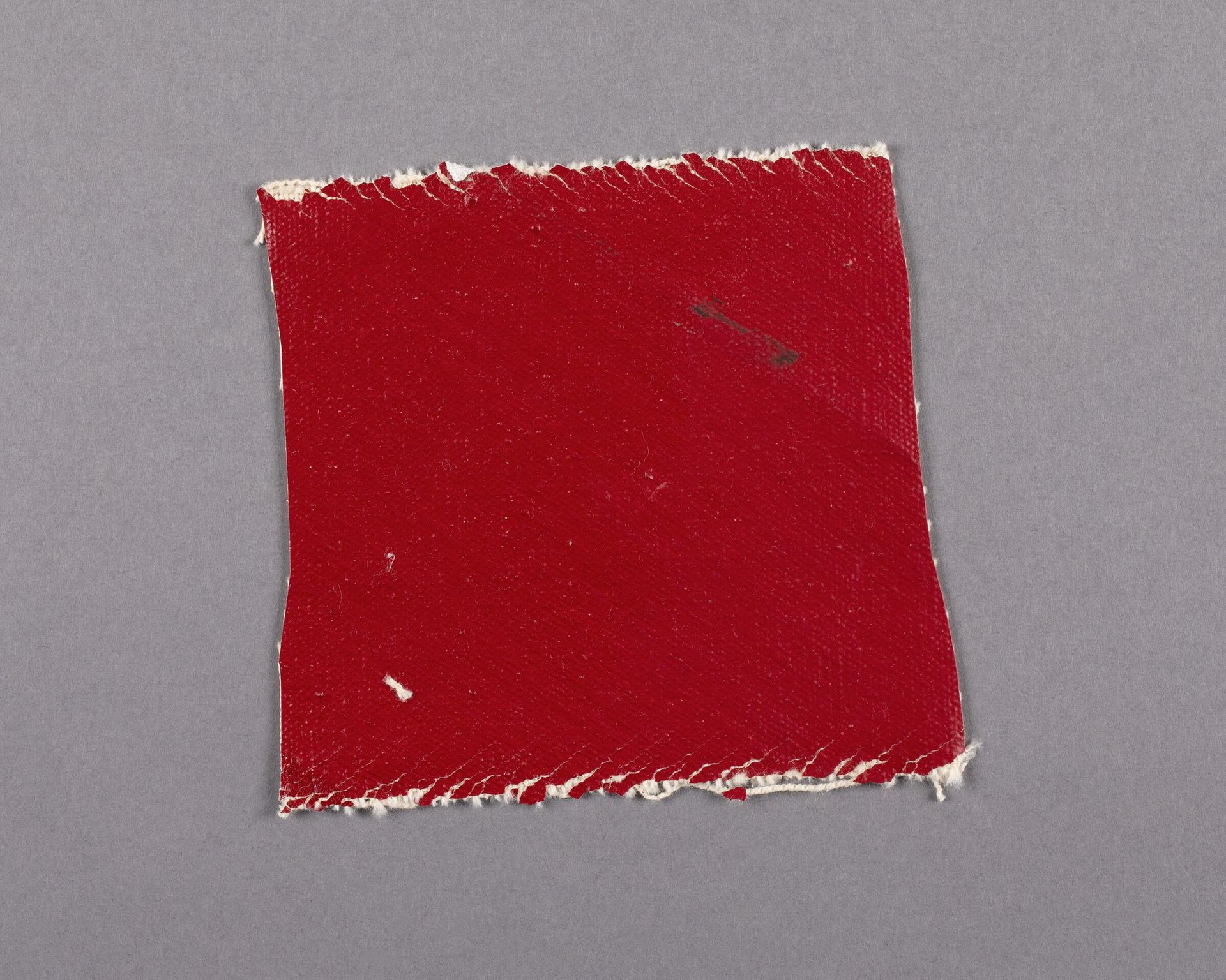 Painted canvas fragment
 by Barnett Newman