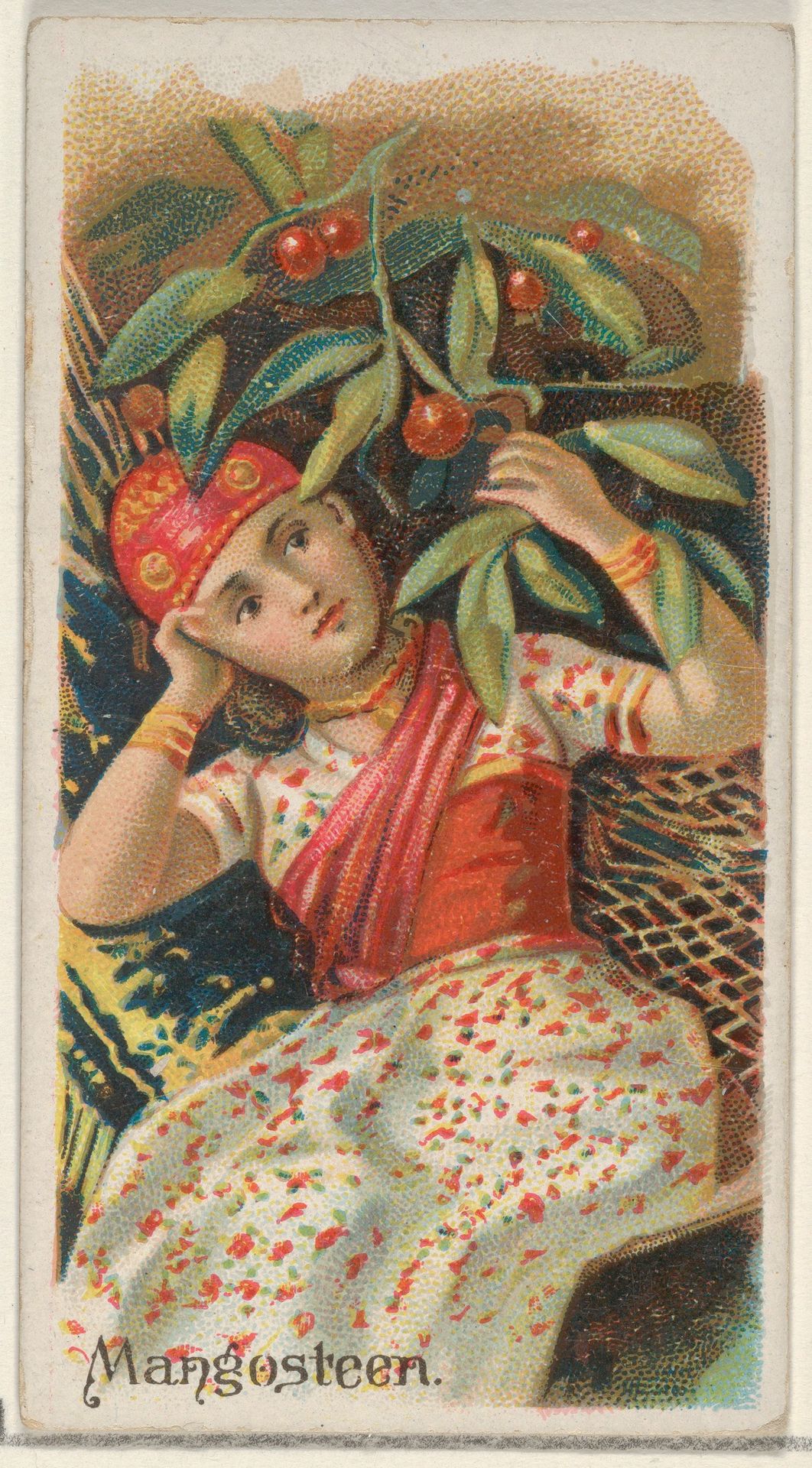 Mangosteen, from the Fruits series (N12) for Allen & Ginter Cigarettes Brands by Allen & Ginter
