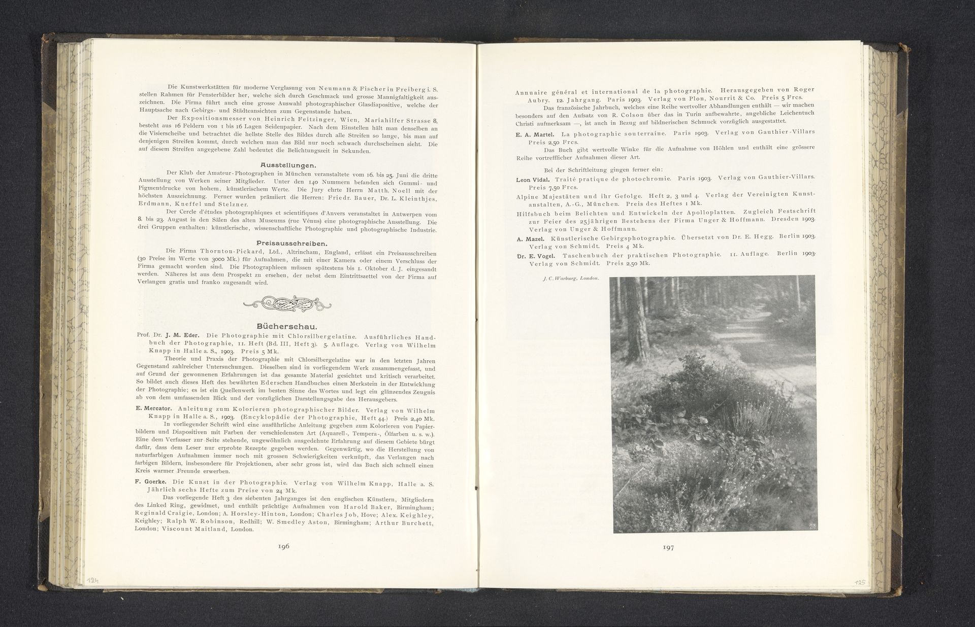 Planten naast een bosweg by John Cimon Warburg