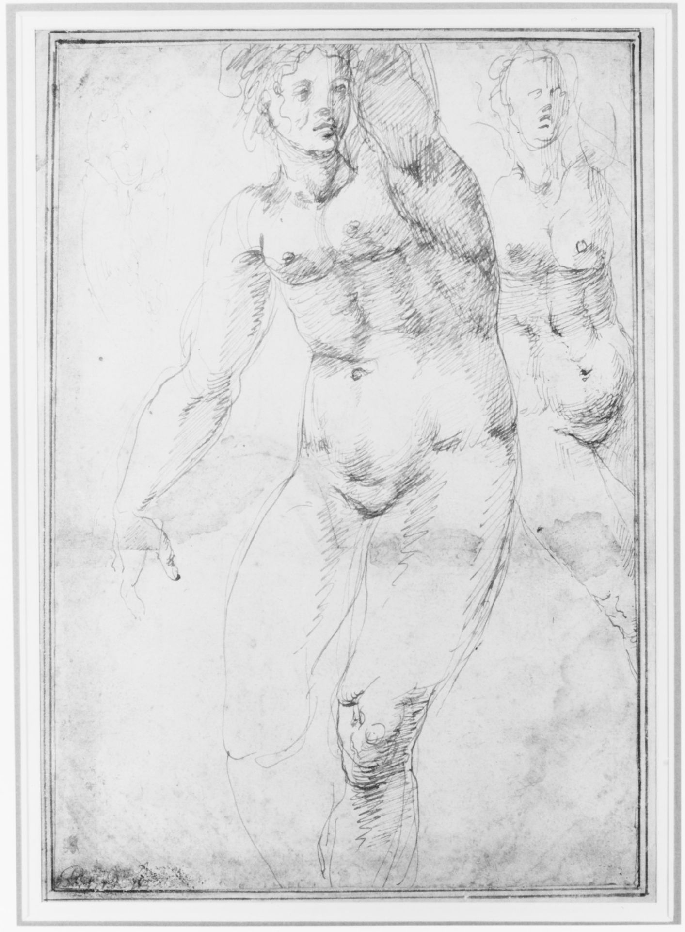 Studies for a Nude Woman Seen from the Front (recto); Four Standing Male Nudes, Venus, and Cupid (verso) by Anonymous