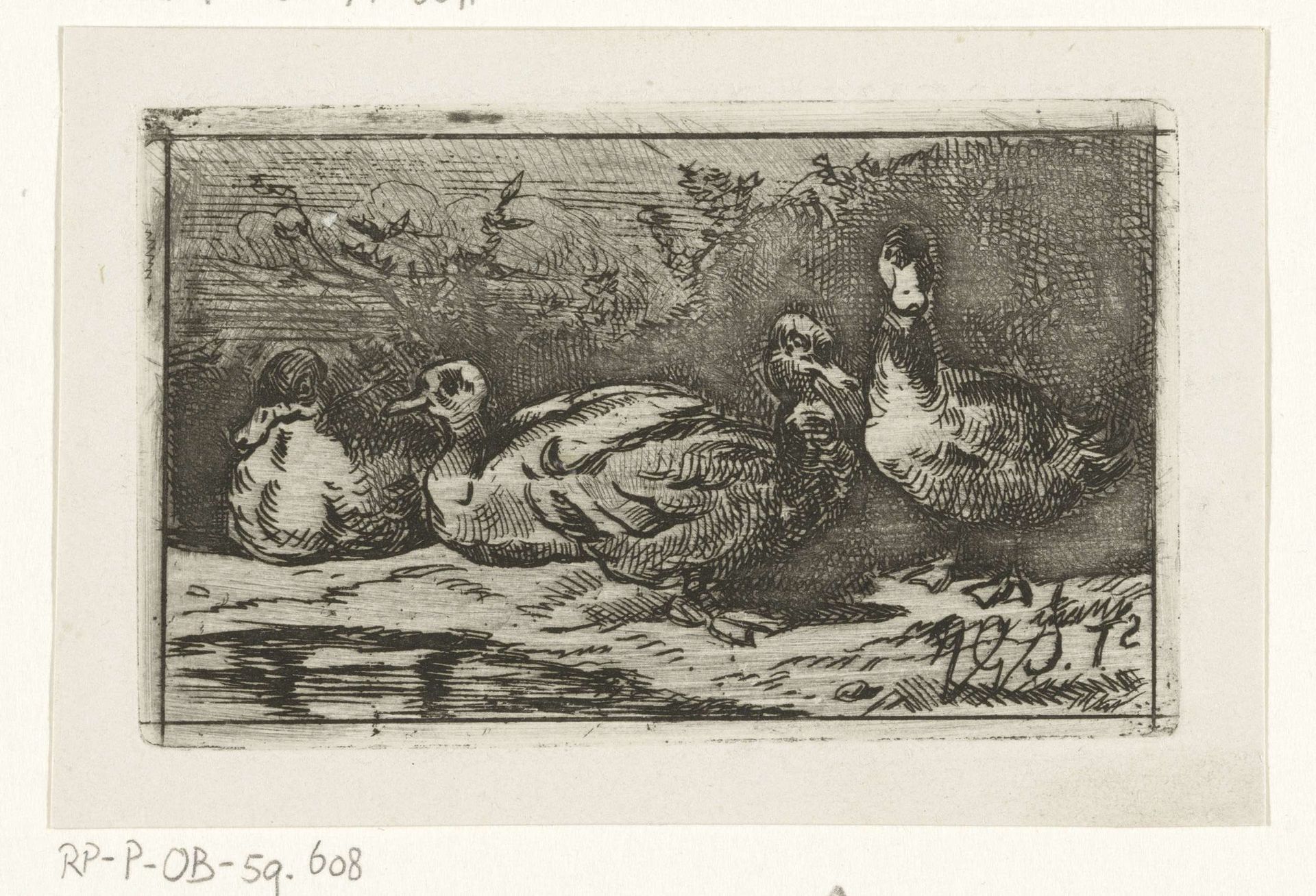 Vier eenden aan de waterkant by Jan Gerard Smits