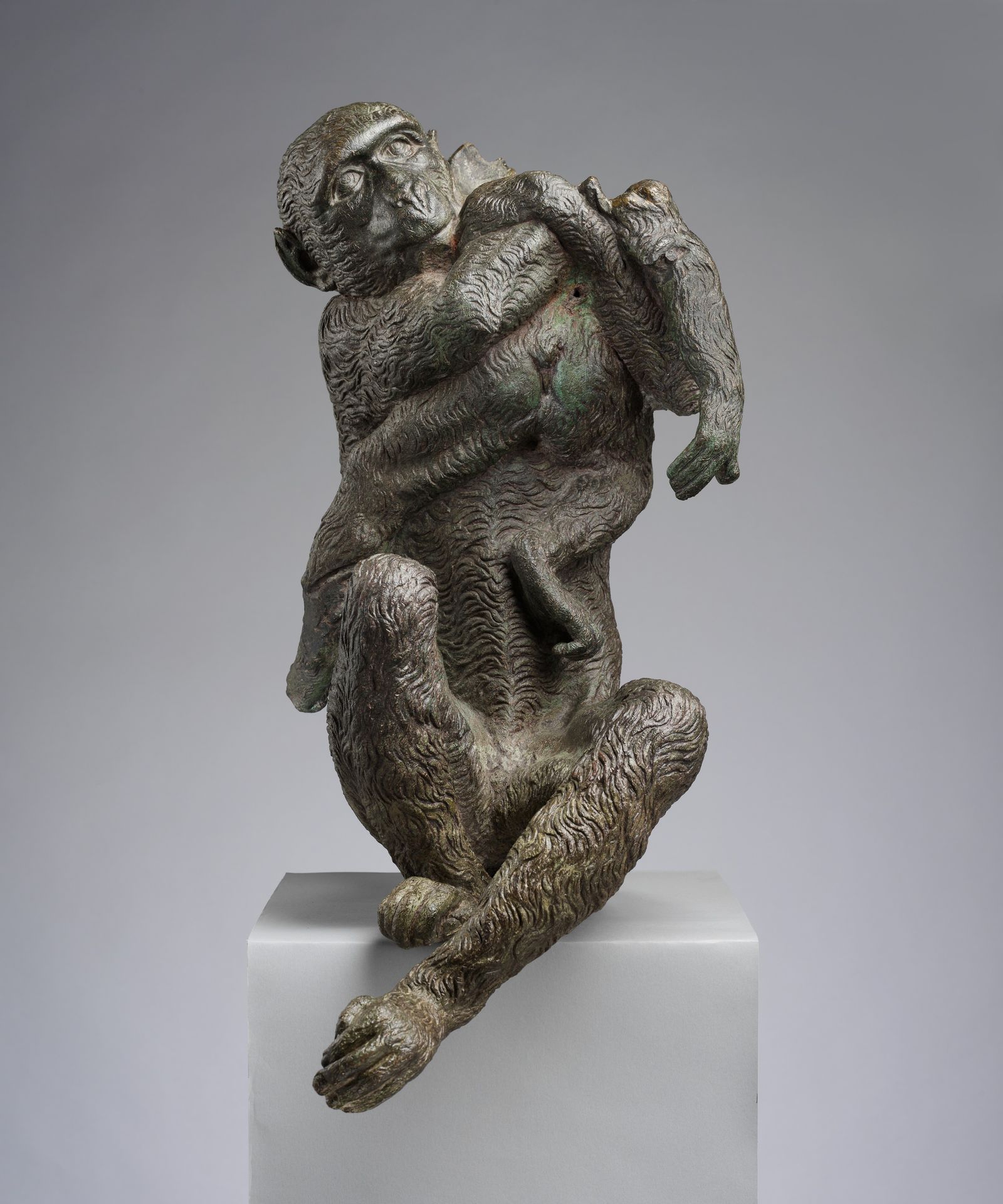 Mother ape by Camillo Mariani