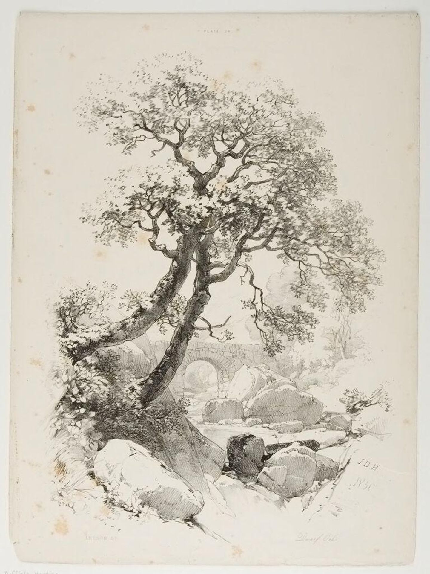 Dwarf Oaks by James Duffield Harding