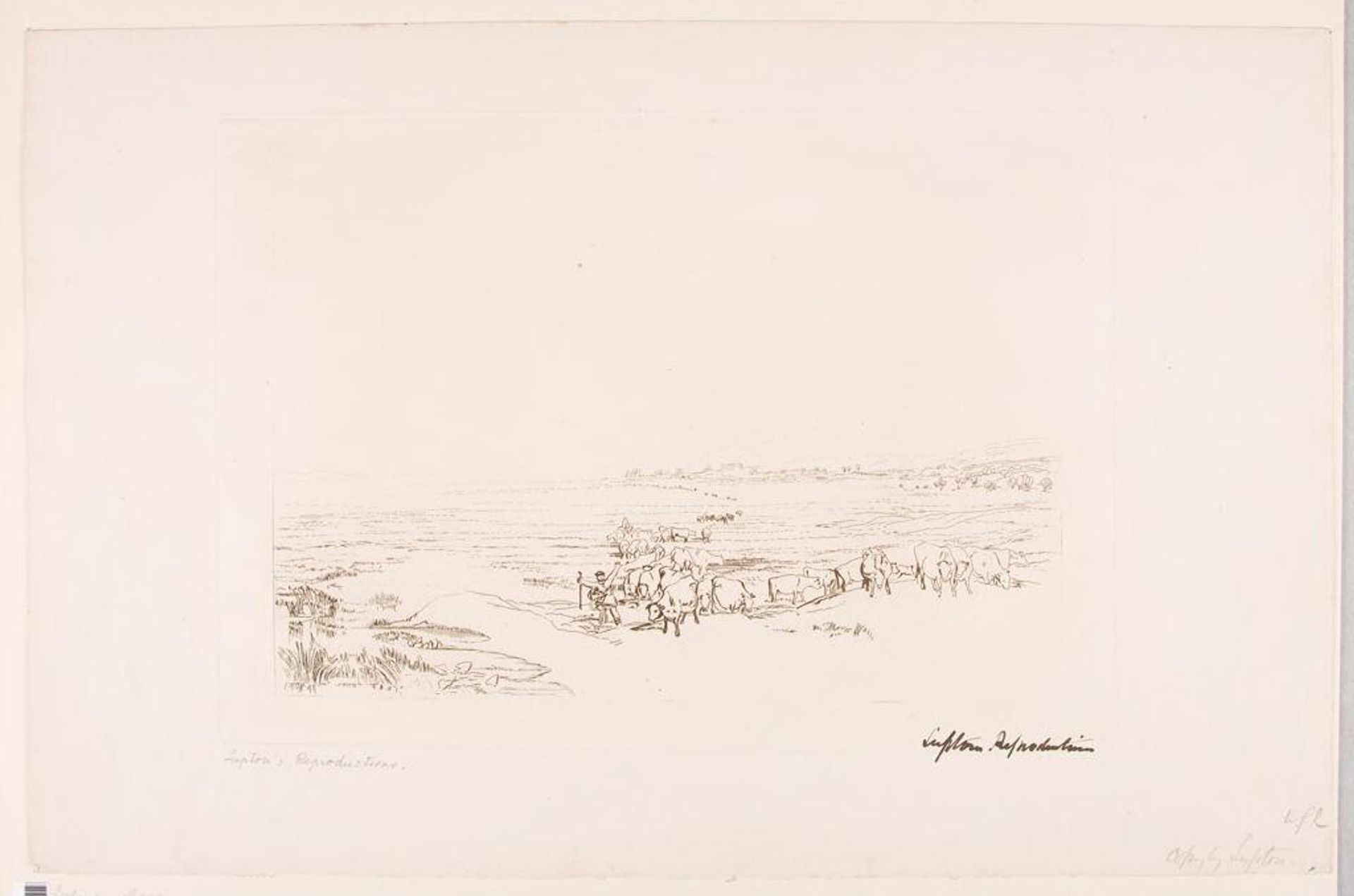 Solway Moss by Thomas Goff Lupton