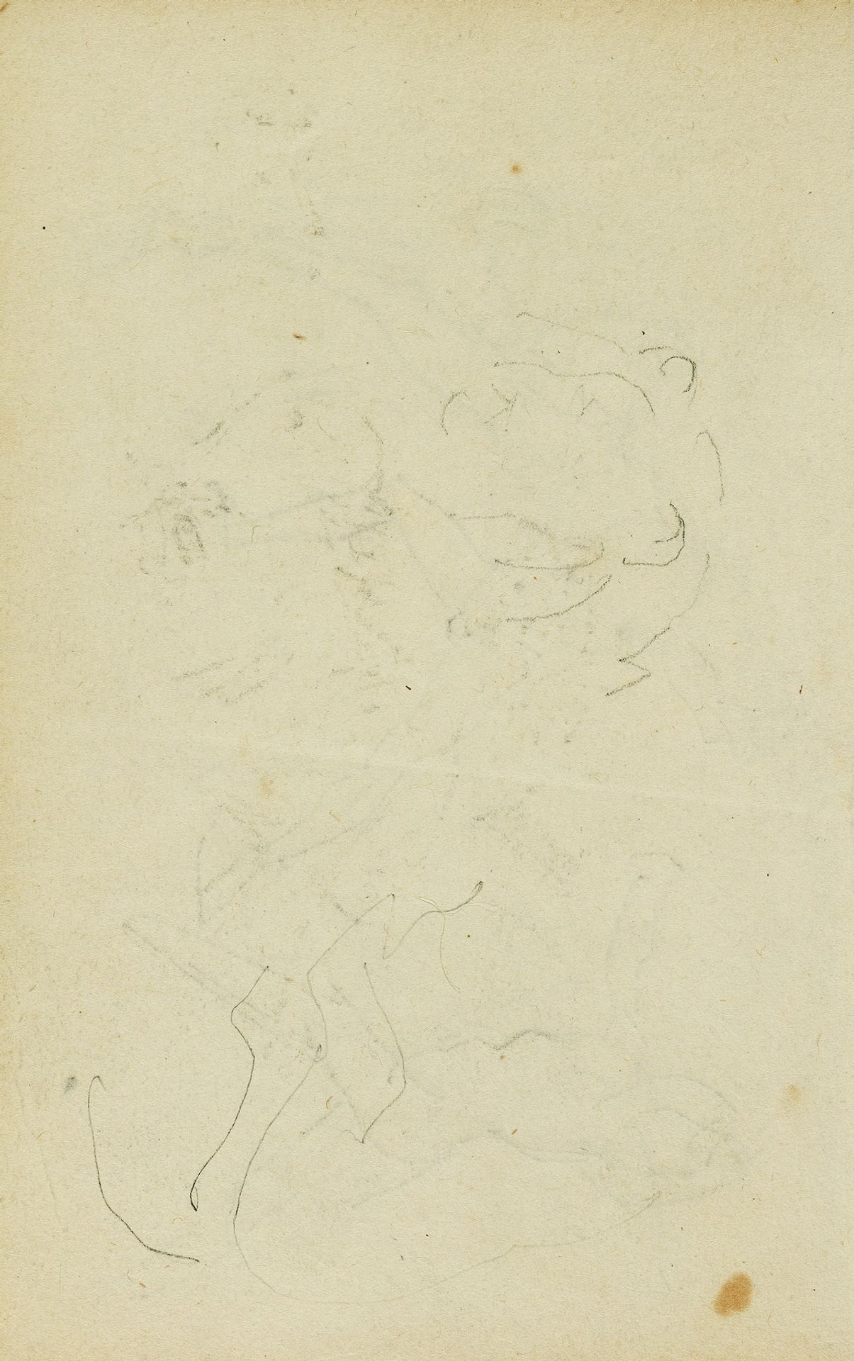 Sketches of head and hind legs of a lion by Théodore Géricault