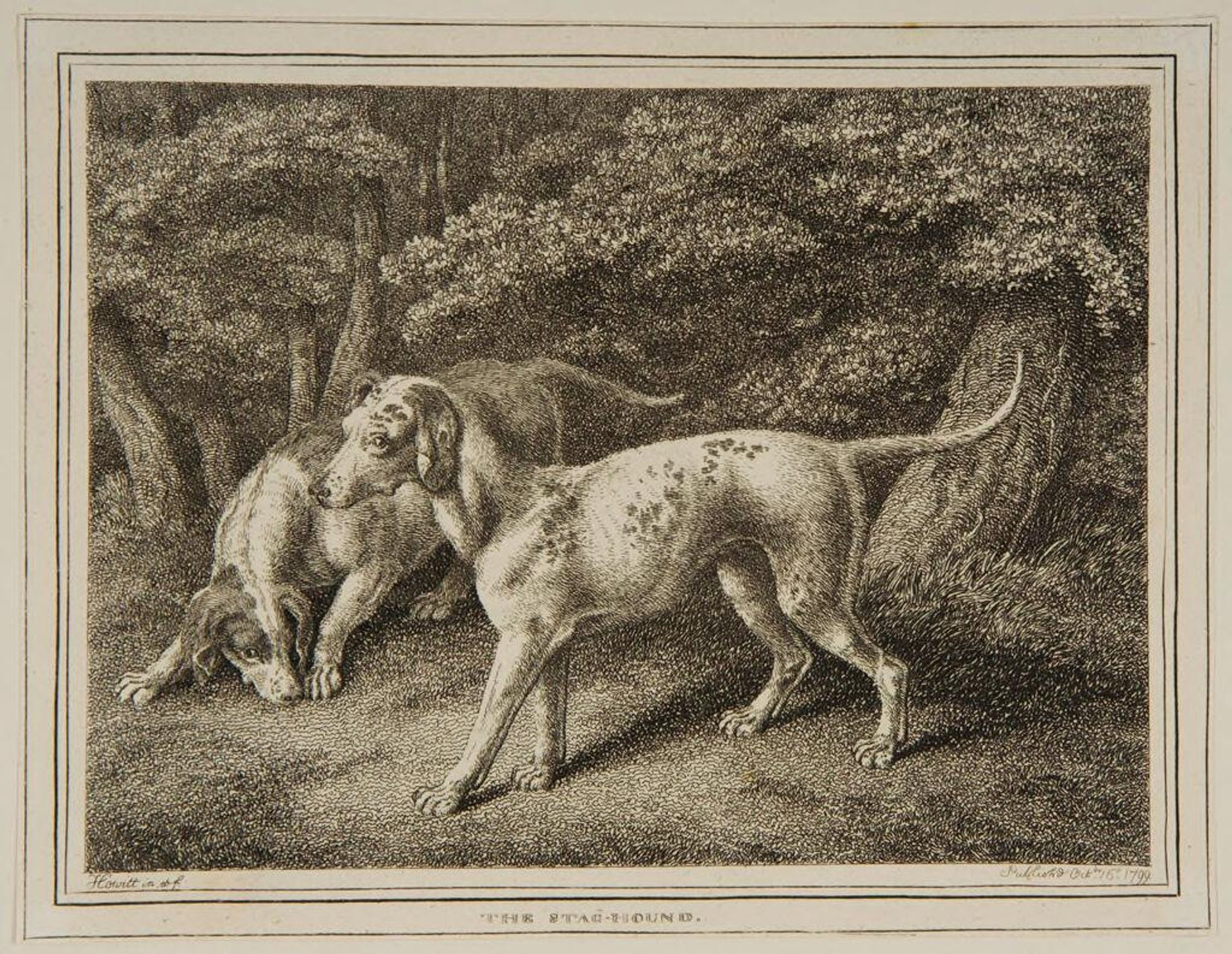 Staghound by Samuel Howitt