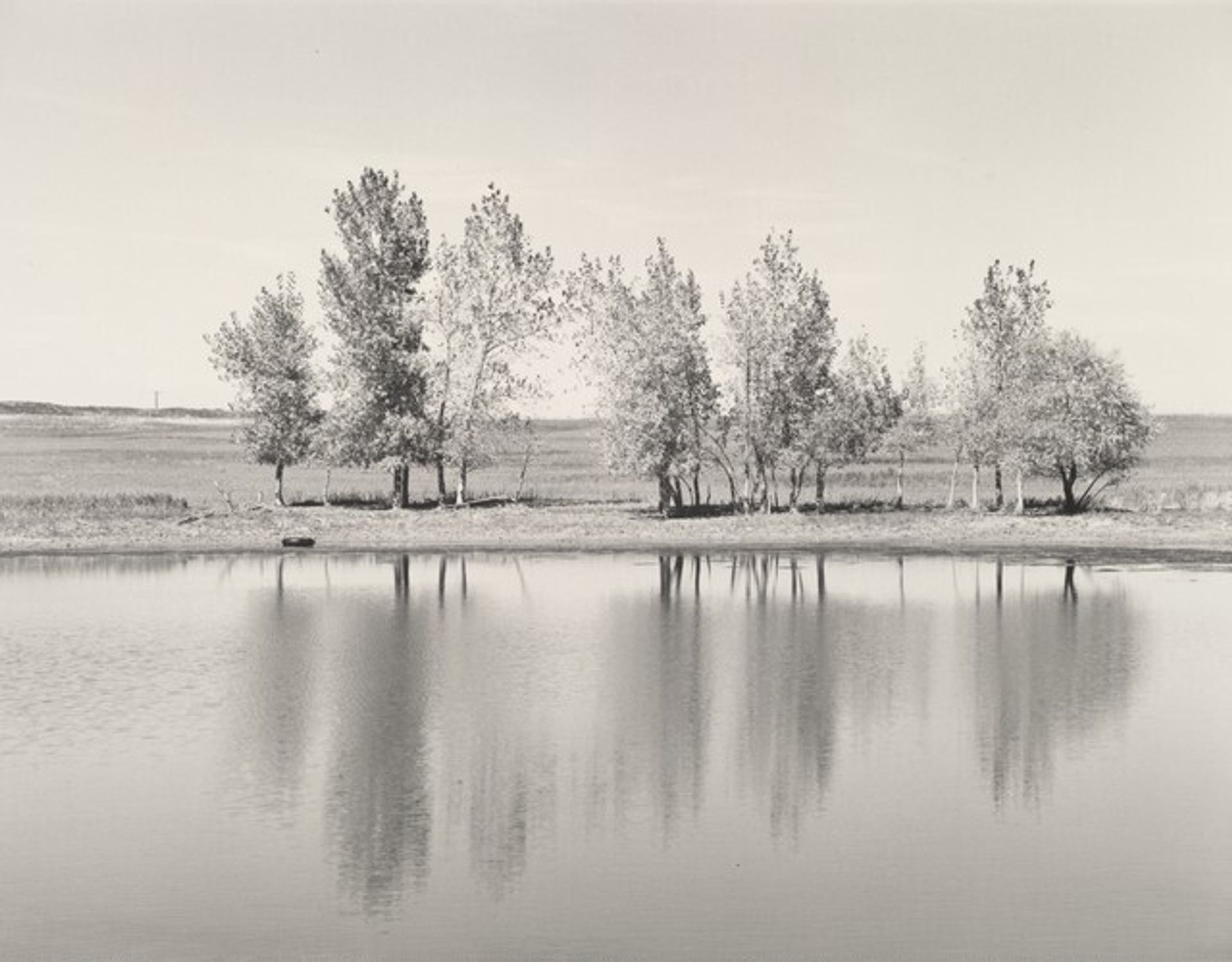 A farm pond about to be destroyed by earth-moving machinery, the north edge of Denver, Colorado by Robert Adams