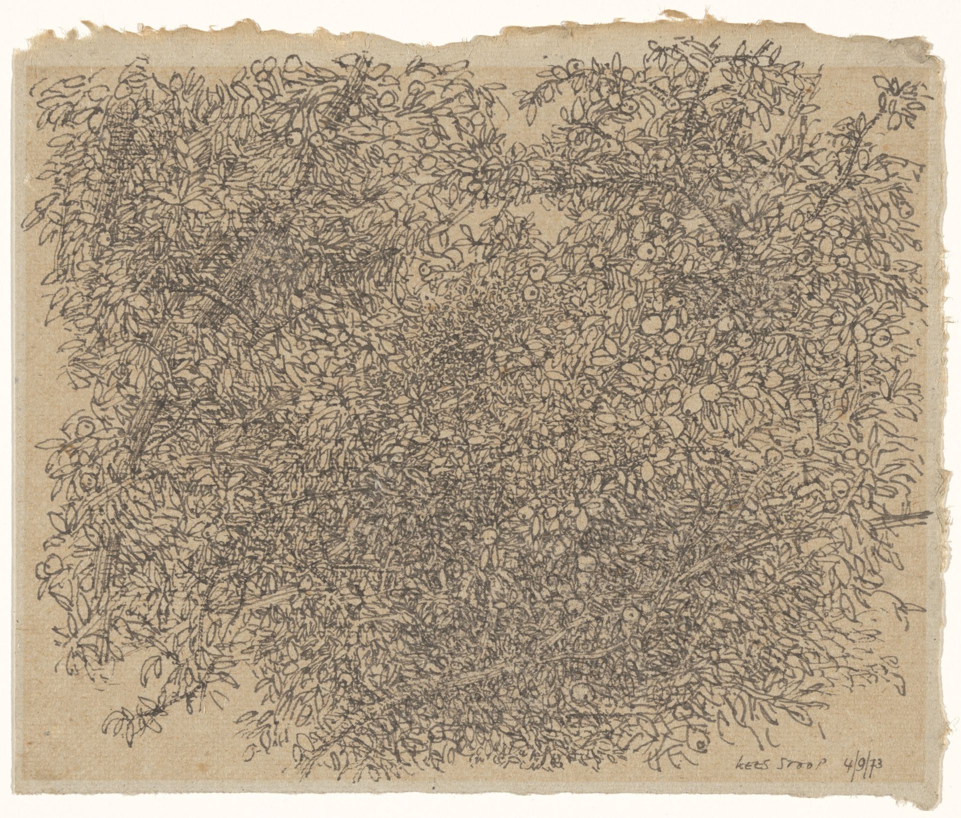 Vruchtdragende fruitboom by Kees Stoop