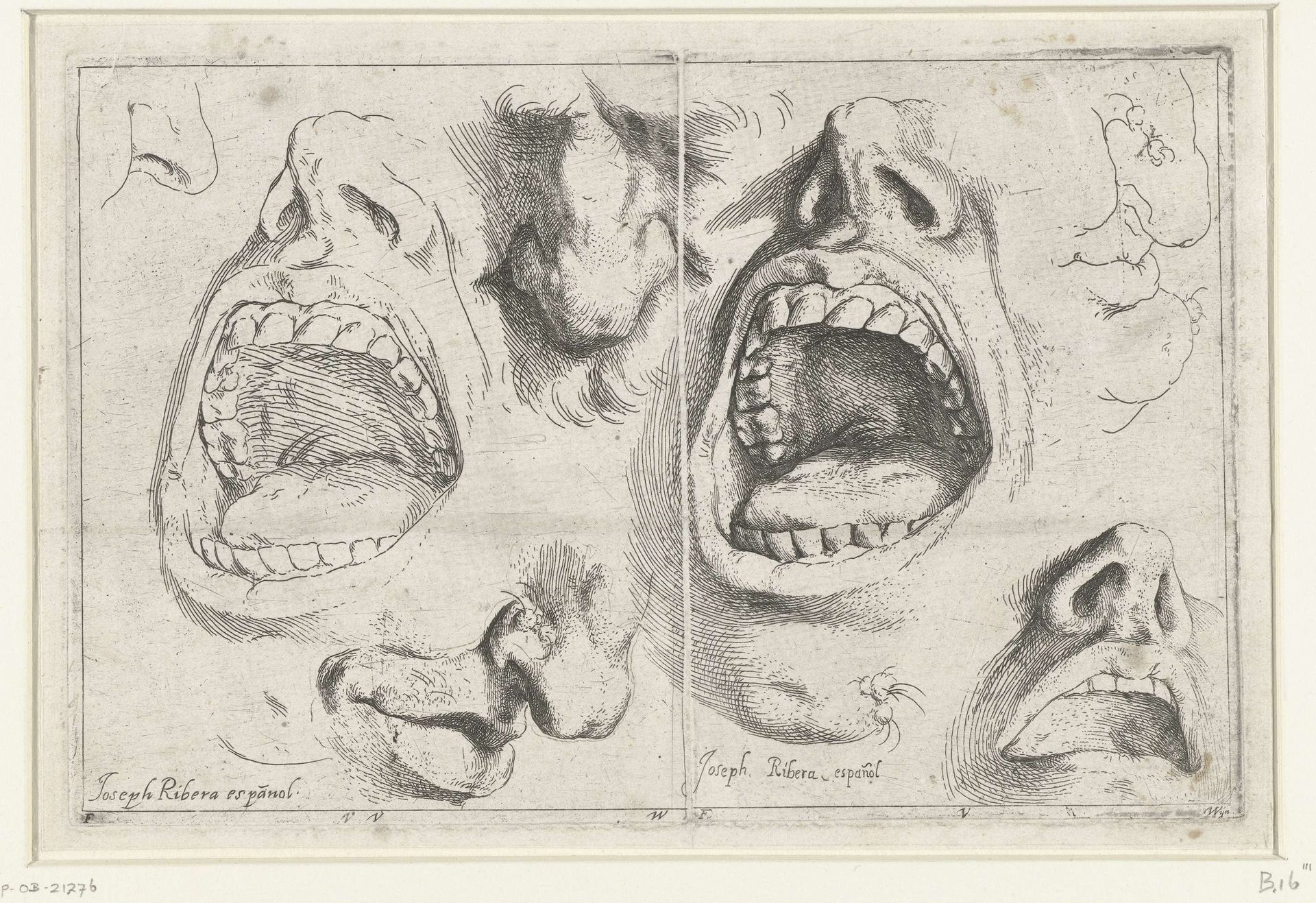 Studies van neus en mond by Jusepe de Ribera