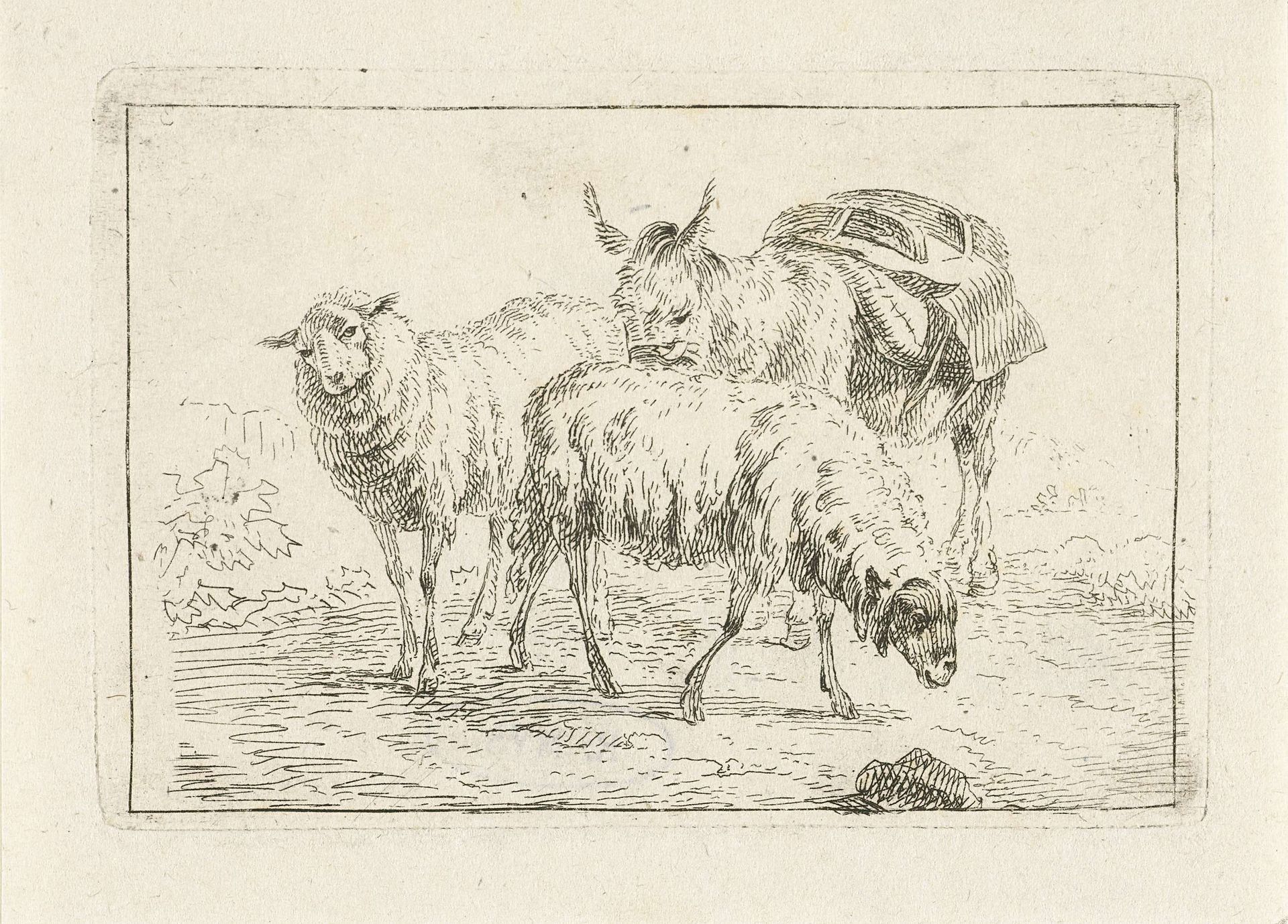Ezel en twee schapen by Frédéric Théodore Faber