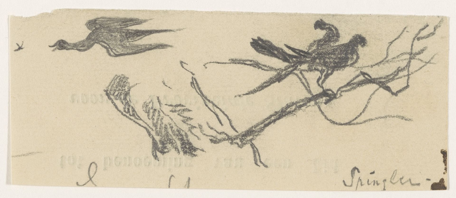 Vogels by Johannes Tavenraat