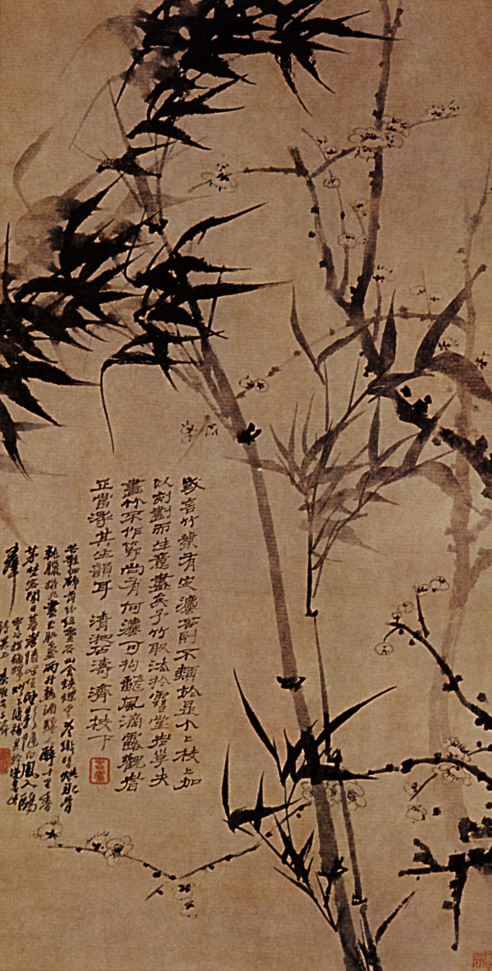 Prunus in flower and bamboo by Shitao
