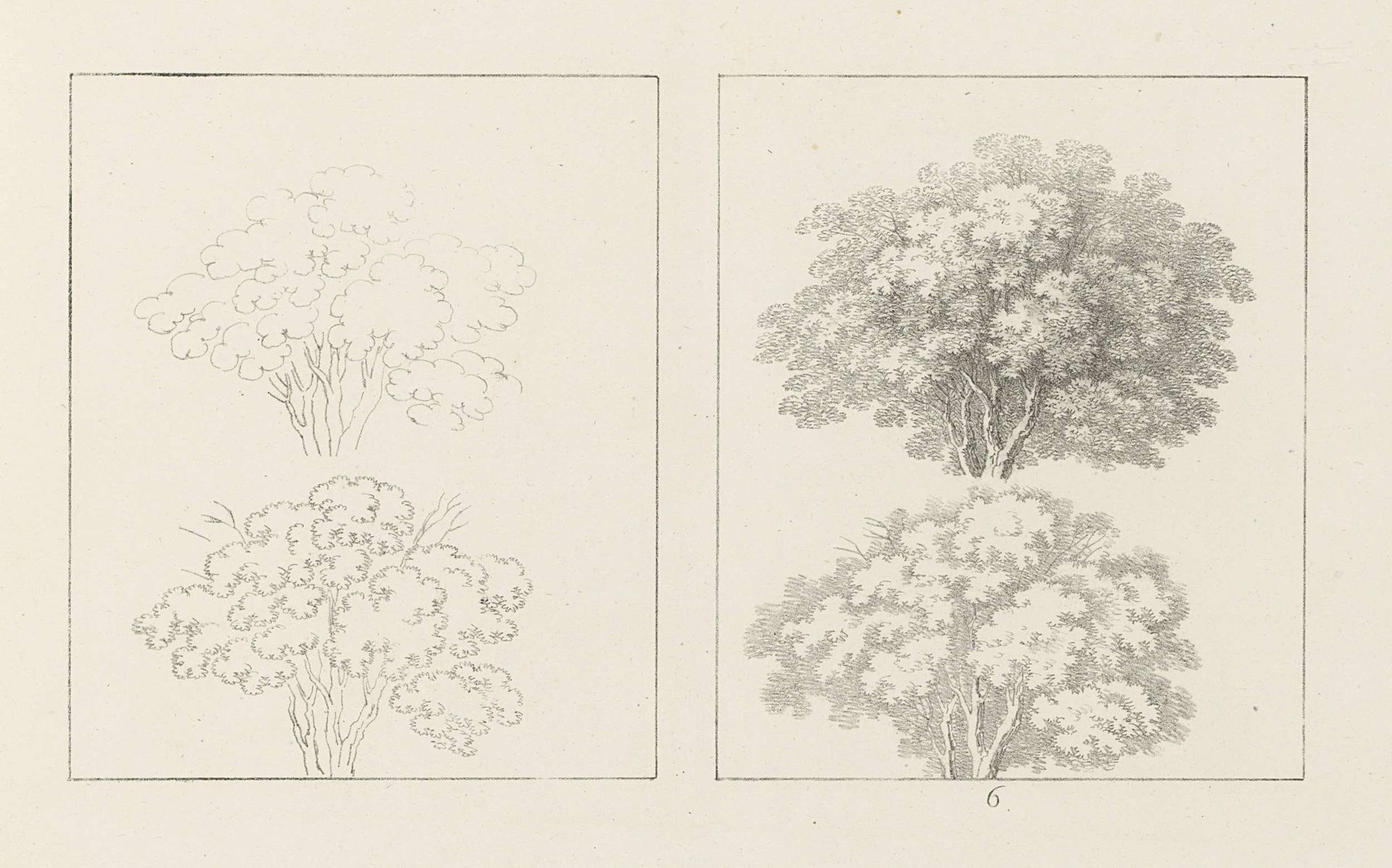 Albumblad met twee voorstellingen van bomen vol bladeren: links het ontwerp, rechts de uitvoering by Max Josef Wagenbauer