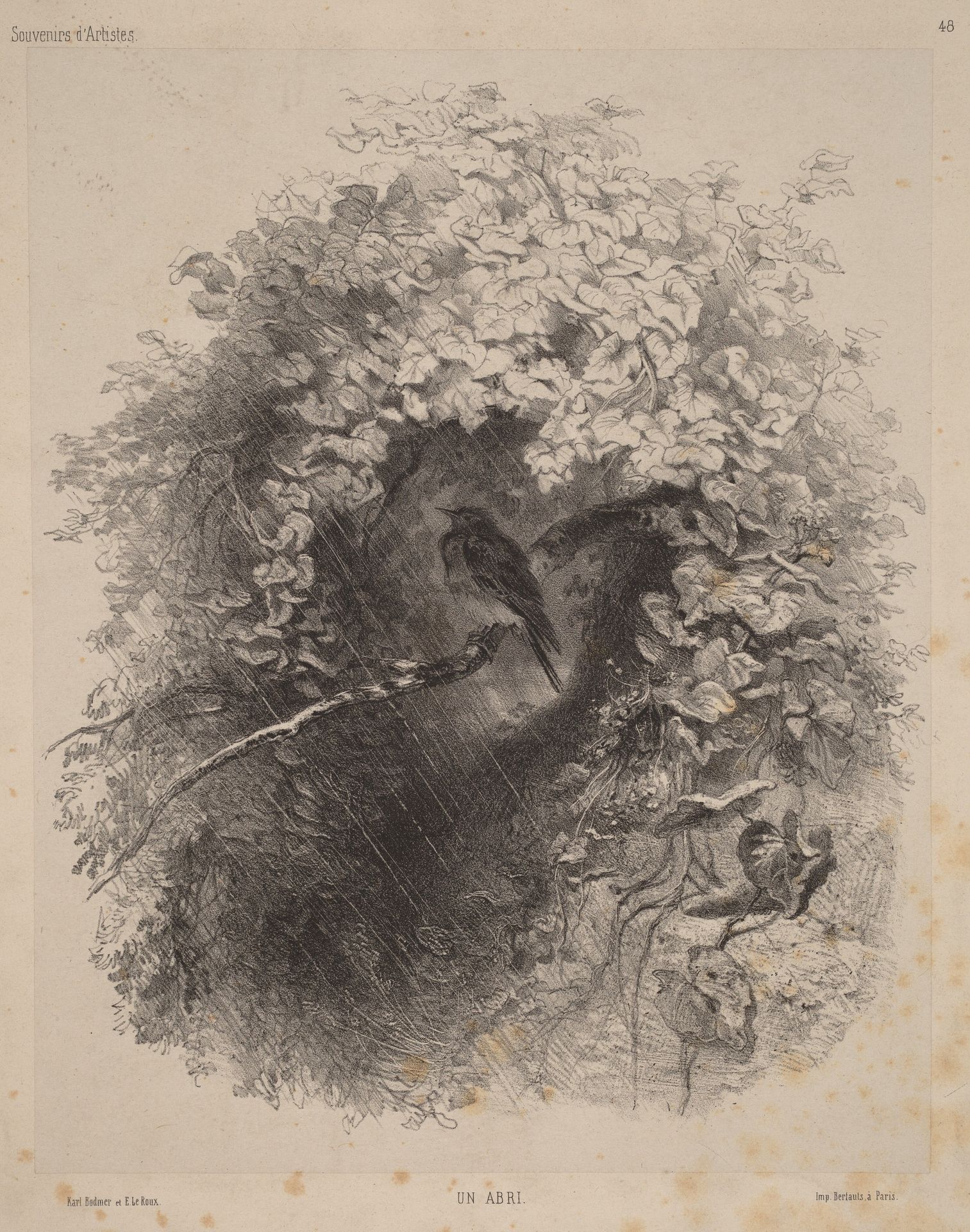 Un Abri (A Shelter) by Karl Bodmer