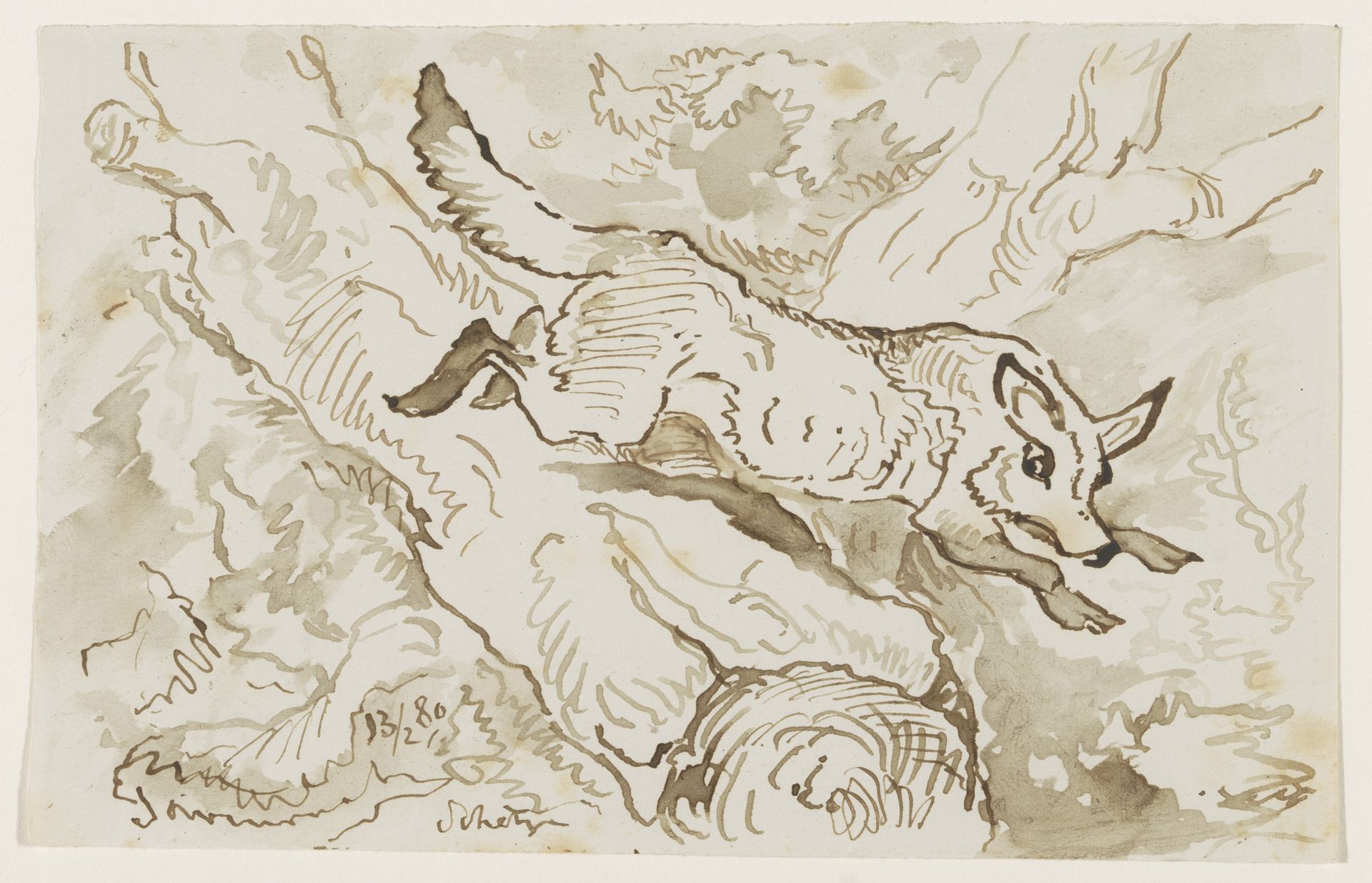 Wolf of vos by Johannes Tavenraat