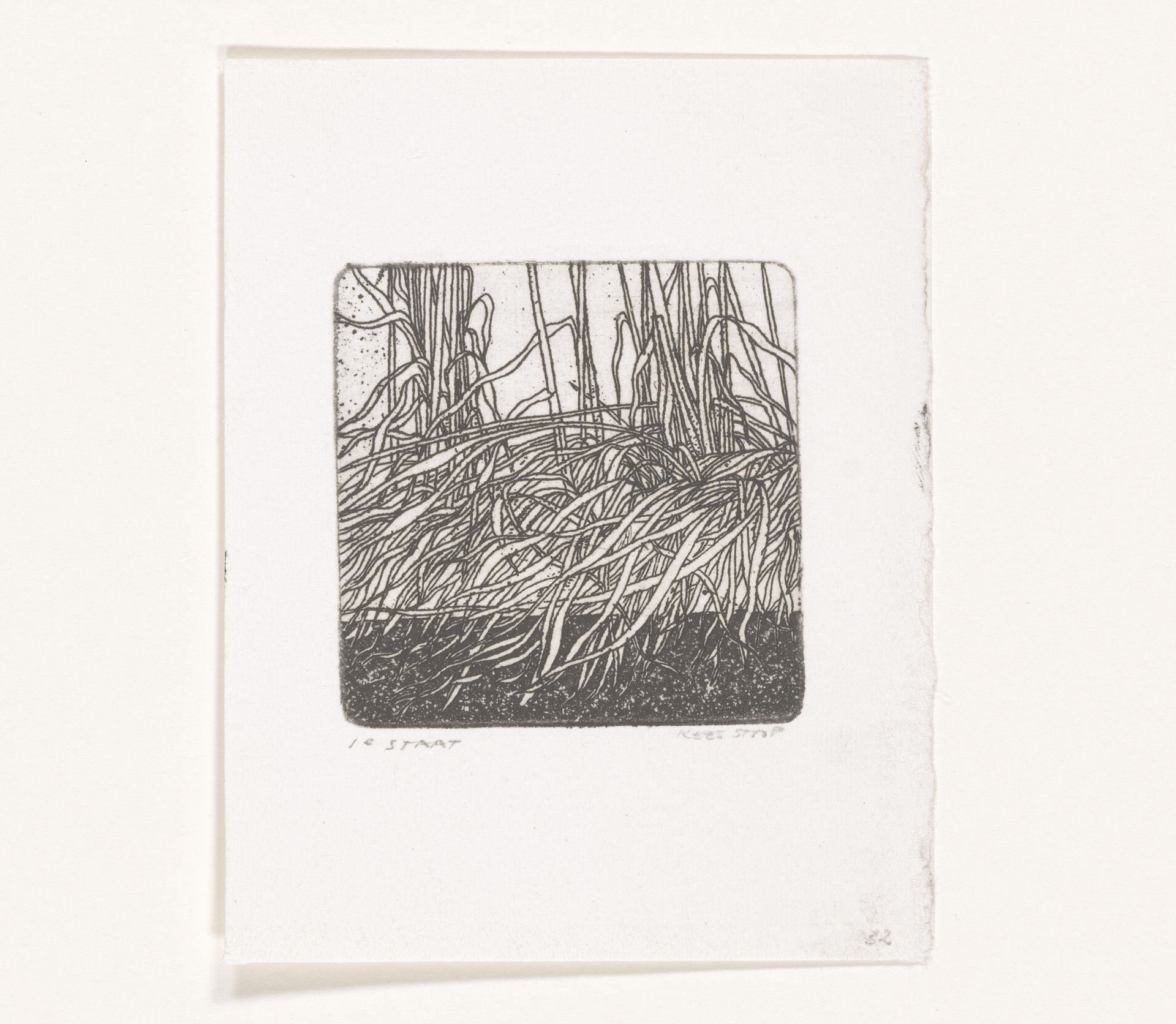 Grashalmen by Kees Stoop