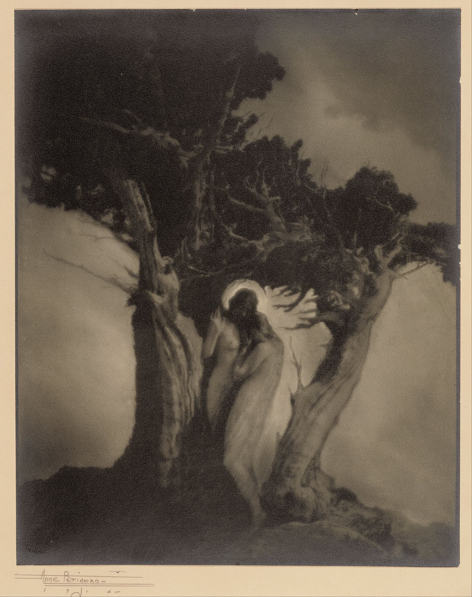 The Heart of the Storm by Anne Brigman