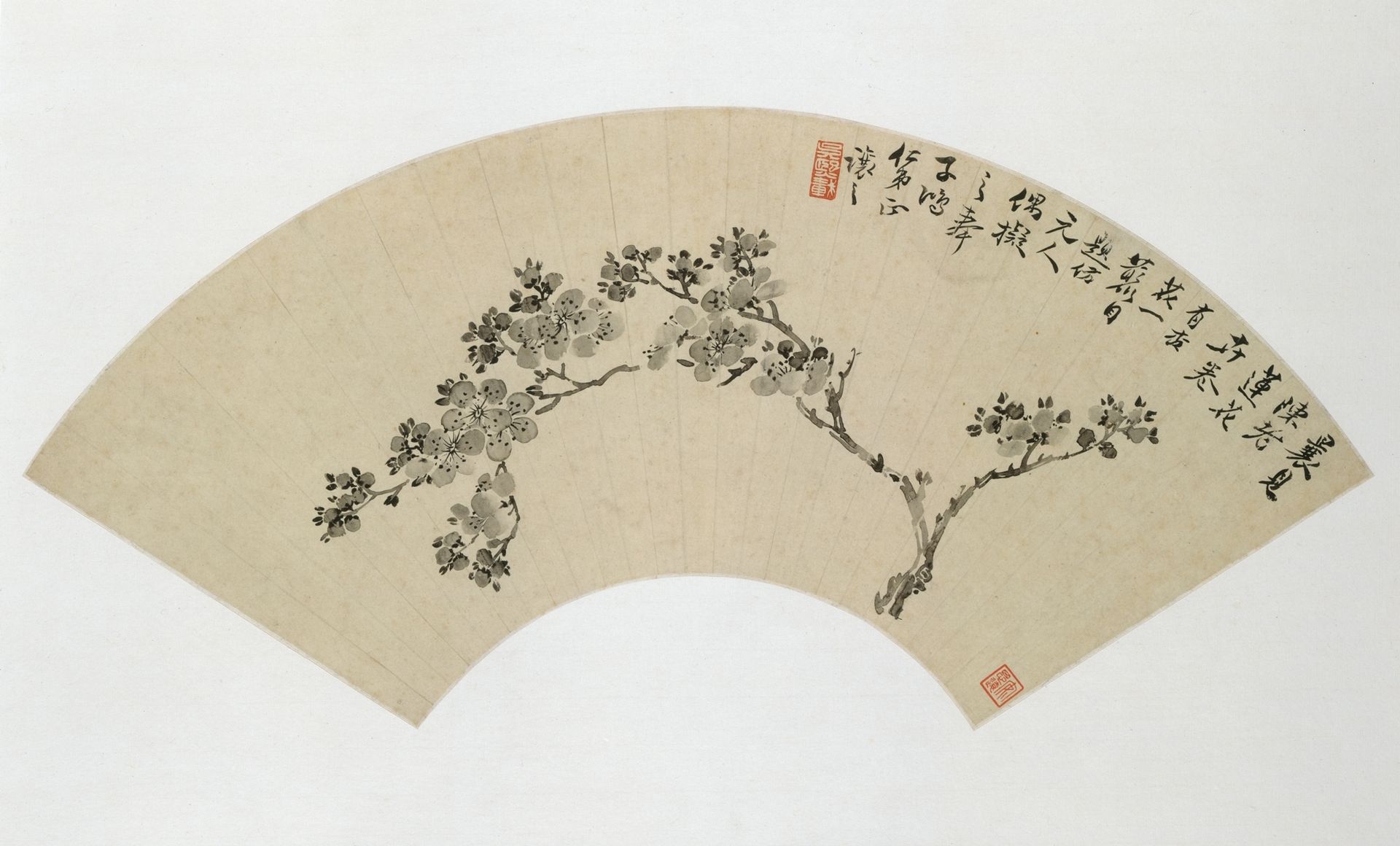 Apricot by Wu Xizai