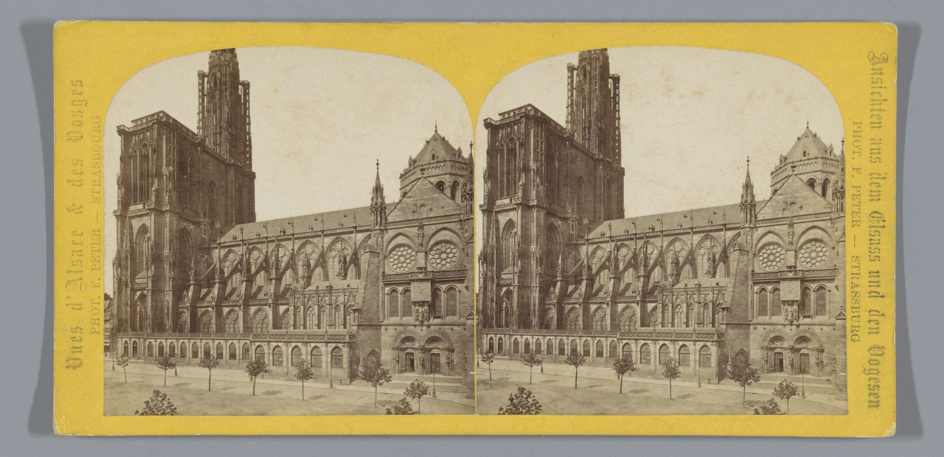 Gezicht op de Notre-Dame van Straatsburg by F. Peter