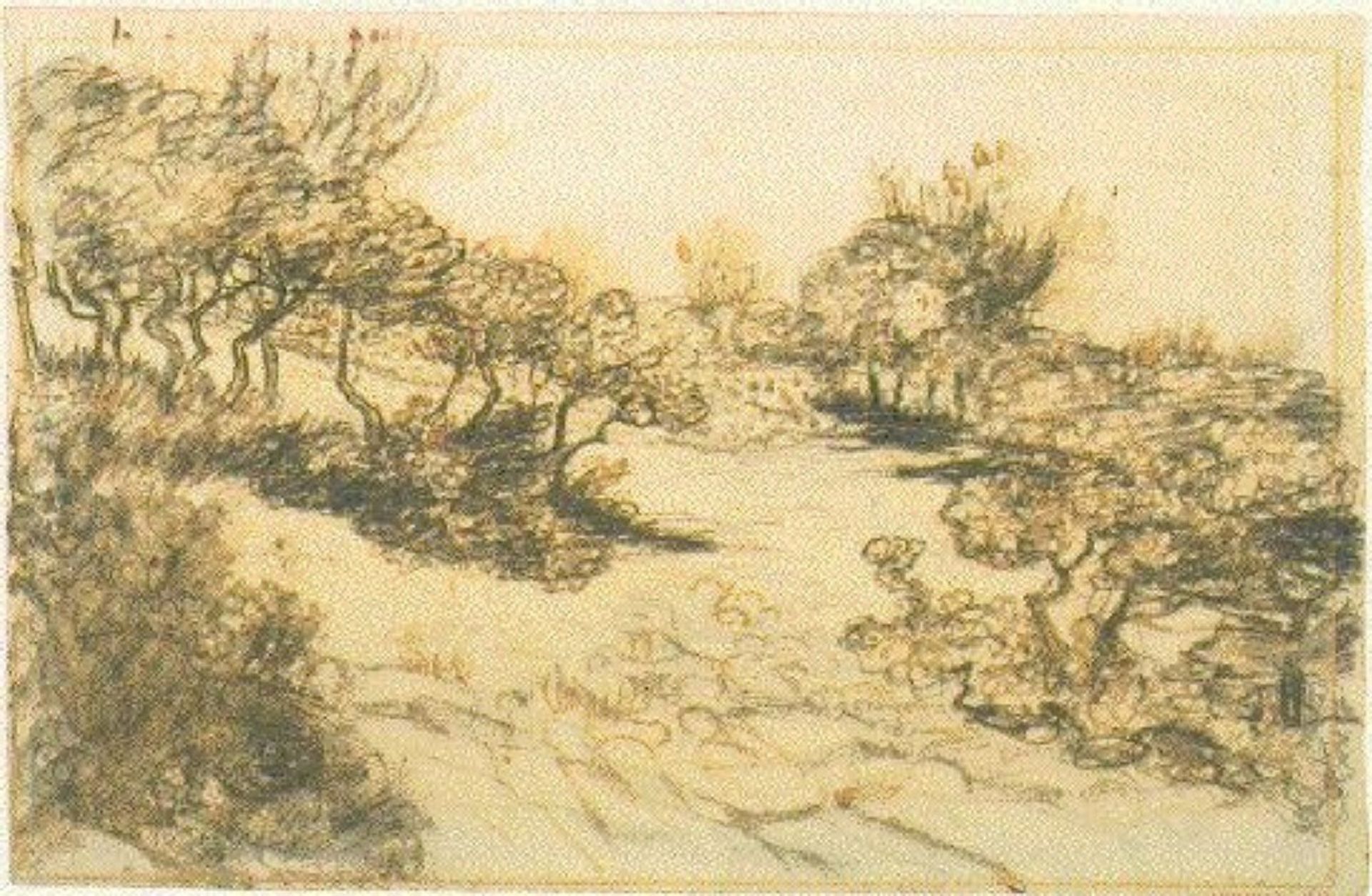 Hill with Bushes by Vincent van Gogh