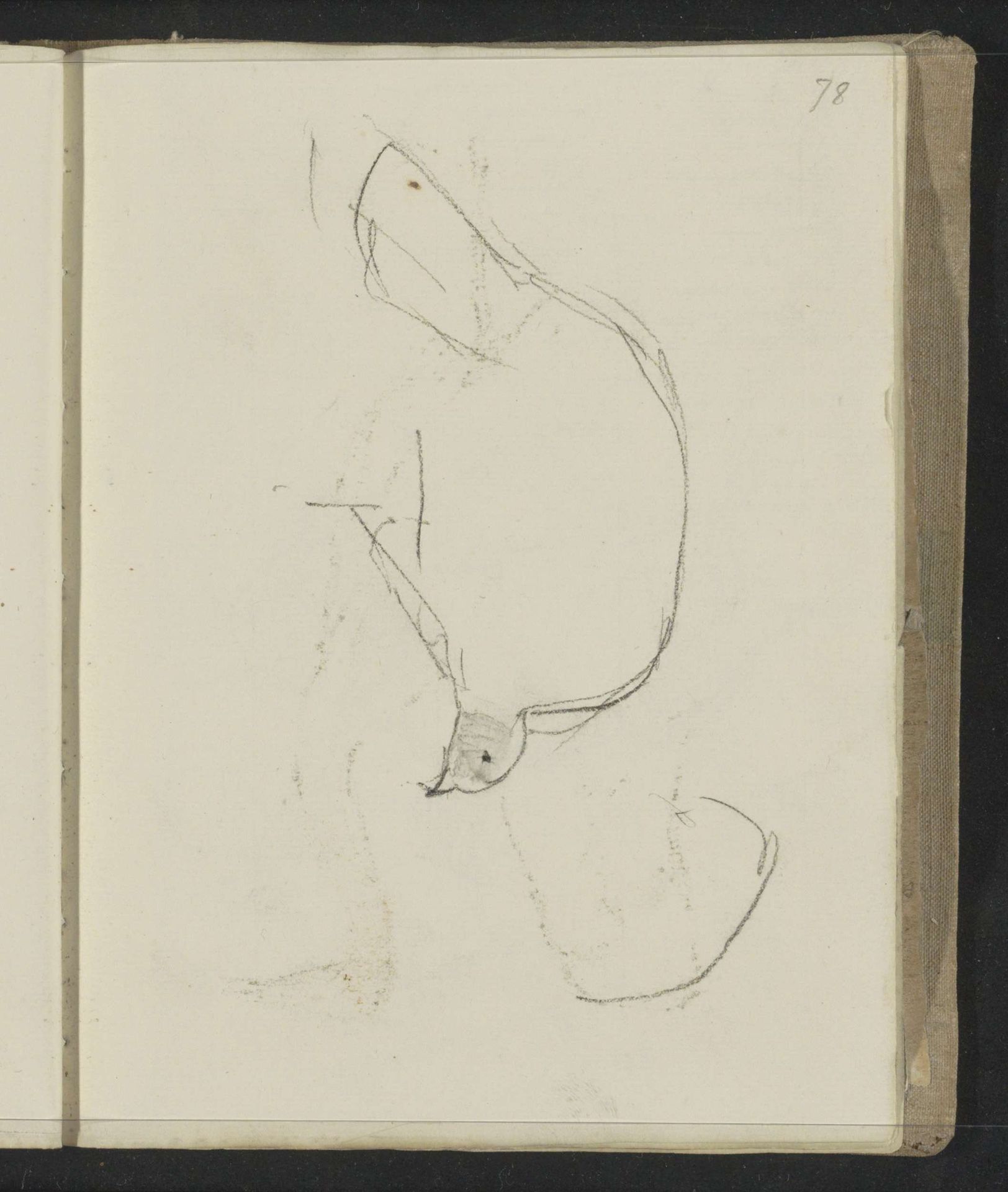 Vogel, mogelijk een parelhoen by Floris Arntzenius