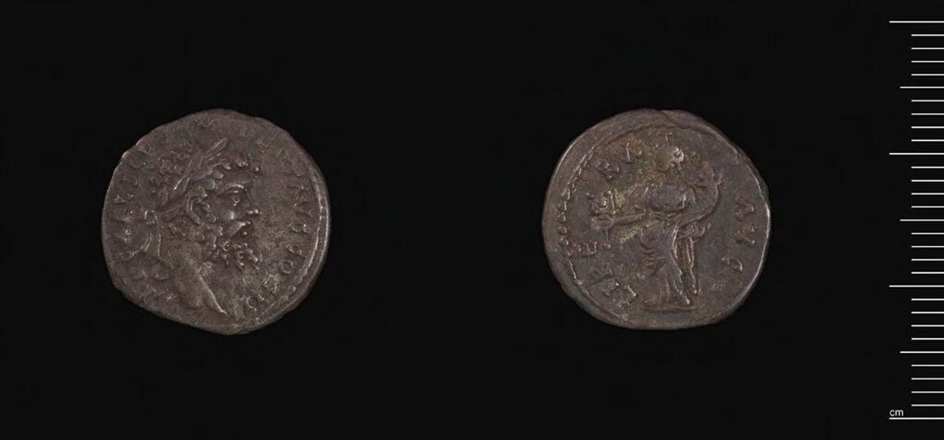 Denarius of Septimius Severus by Septimius Severus