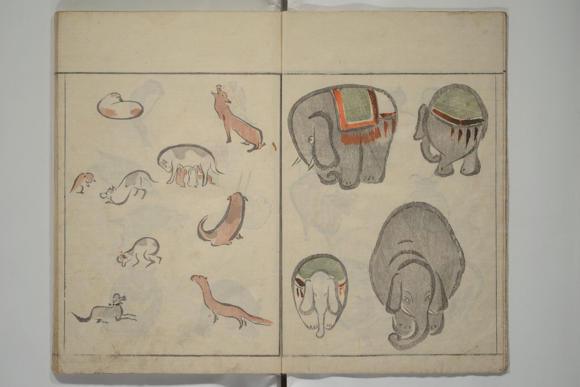 How to Draw Birds, Insects
 and Fish Simply by Keisai
