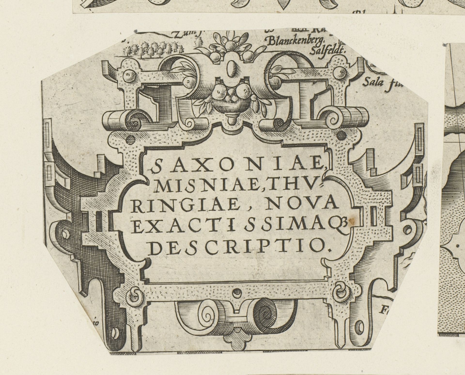 Cartouche met vaas van rolwerk by Anonymous
