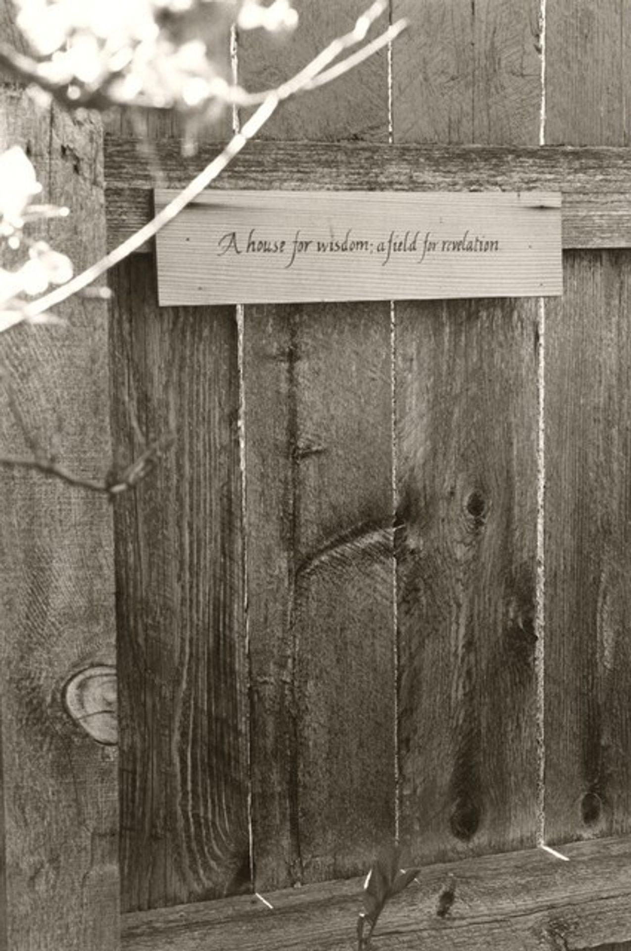 Longmont, Colorado by Robert Adams