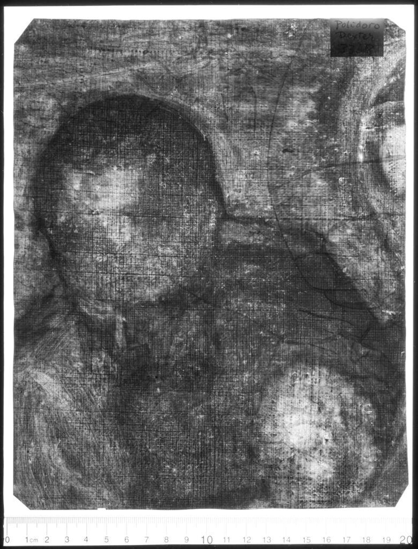X-radiograph(s) of "Holy Family" by Artist of original: (?) Polidoro da Lanciano