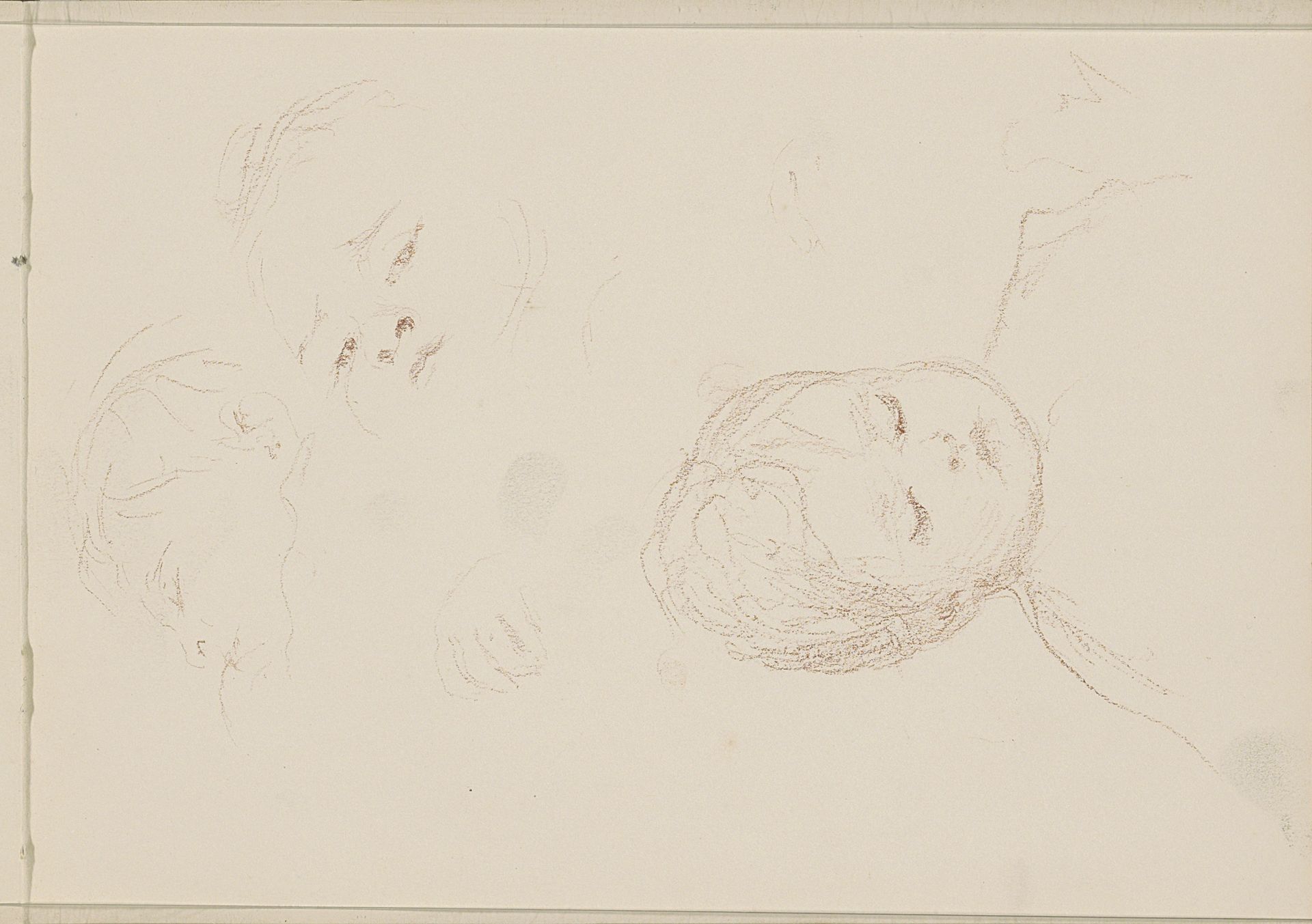 Drie kinderkoppen by Bramine Hubrecht