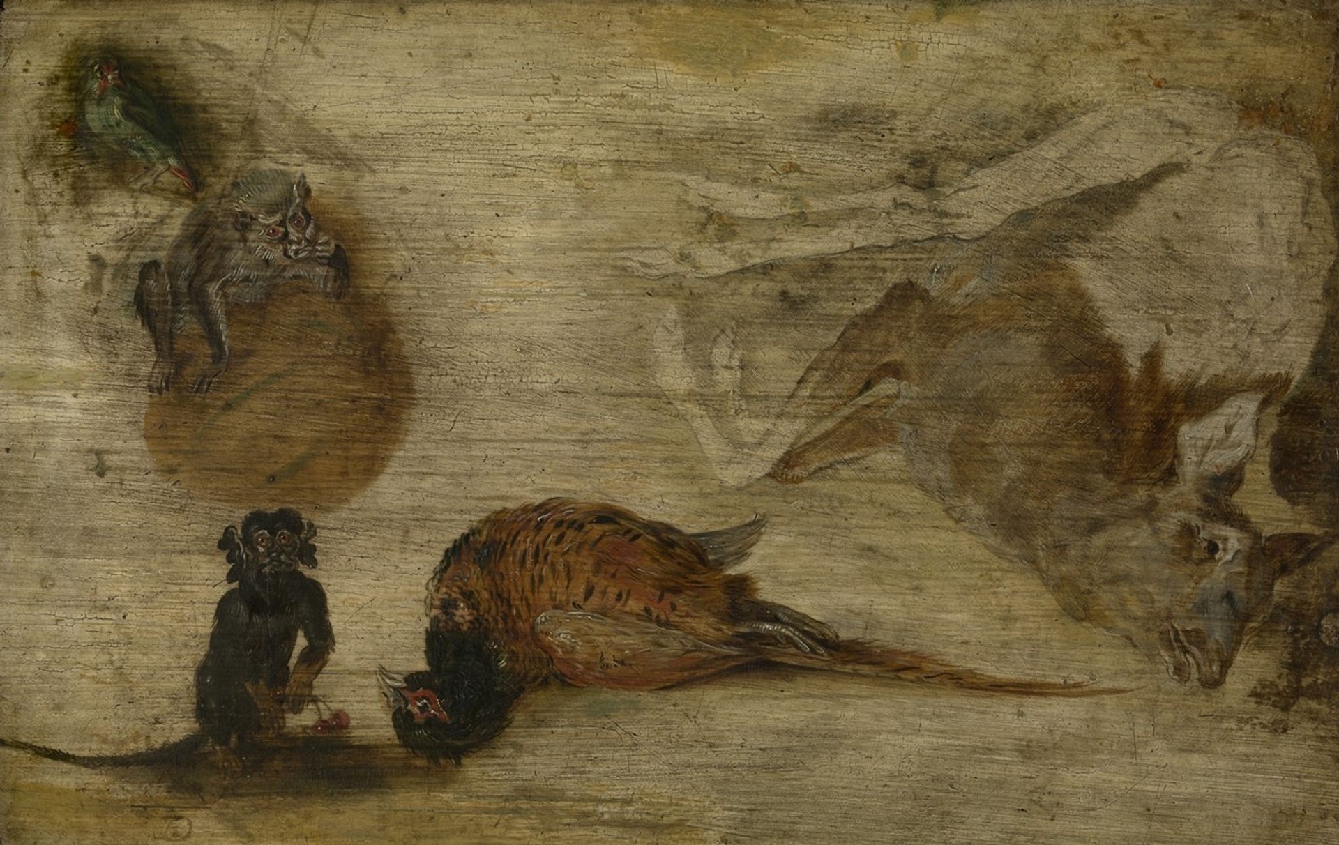 Study of monkeys, a deer and other animals by Jan Brueghel the Younger